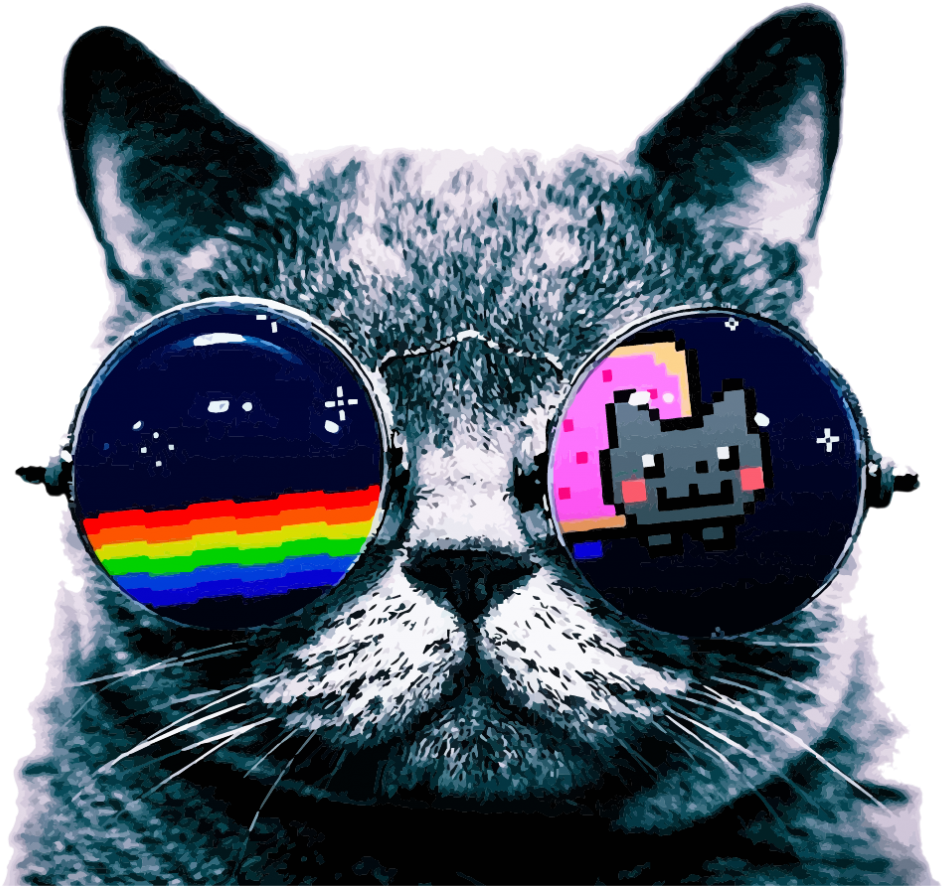 Koel Kat Meme met Sonbril Muurpapier