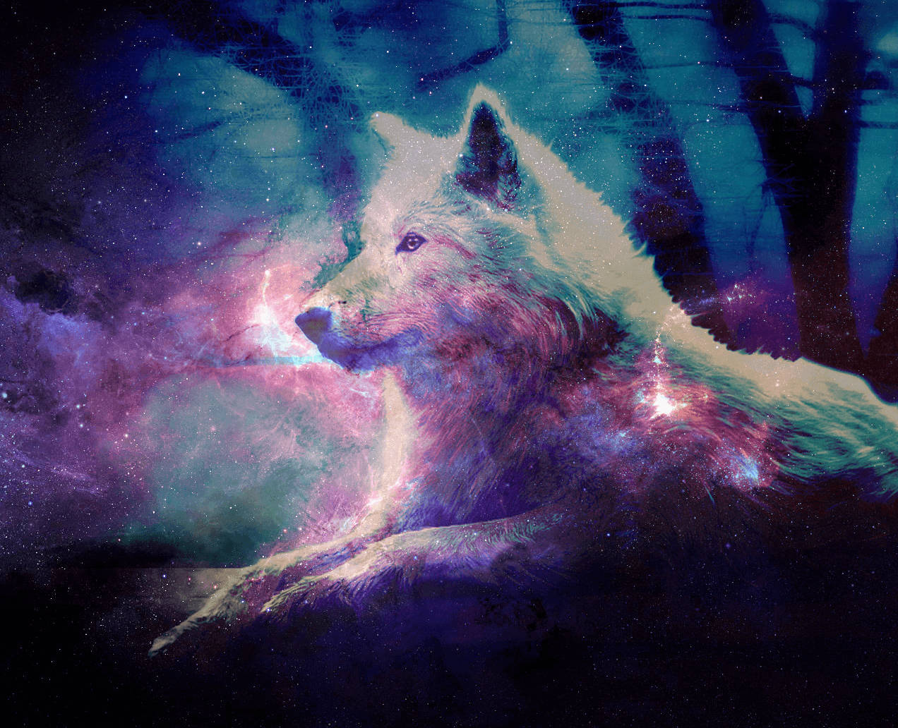 Koel Sterrestelsel Filter op Wolf Muurpapier