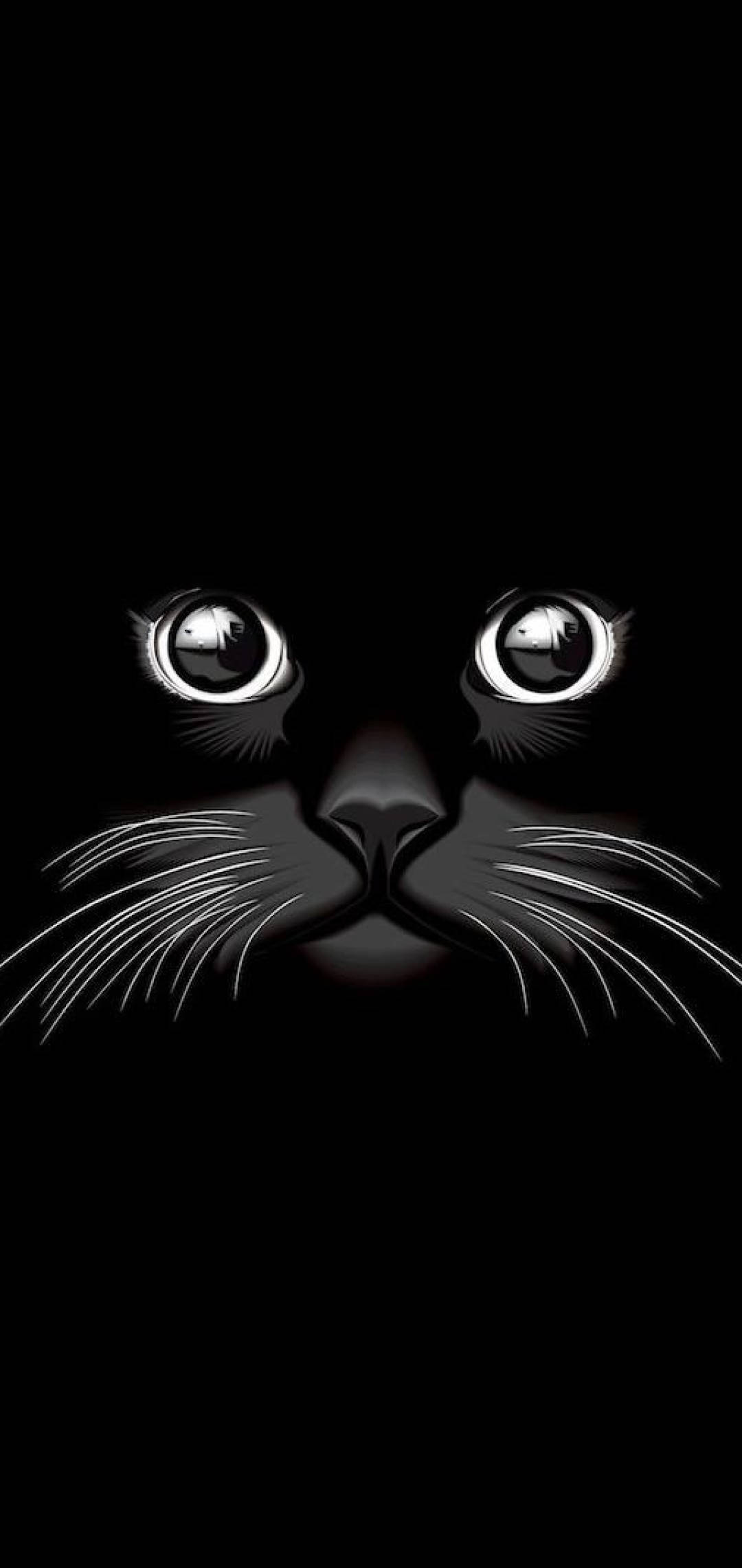 Koel Swart Kat Muurpapier