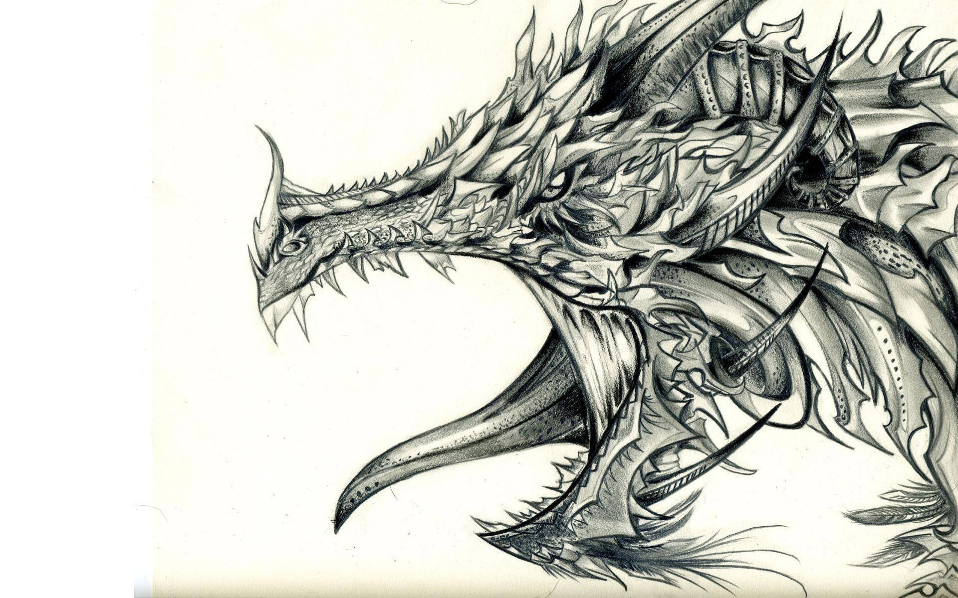 Koel Tekening Gepantserde Draak Muurpapier