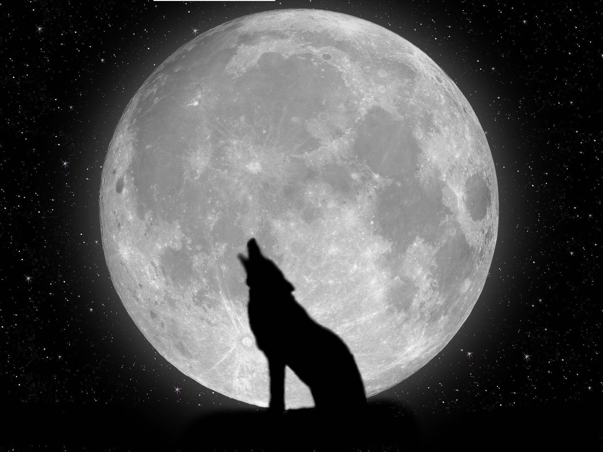 Koel Wolf en Maan Muurpapier