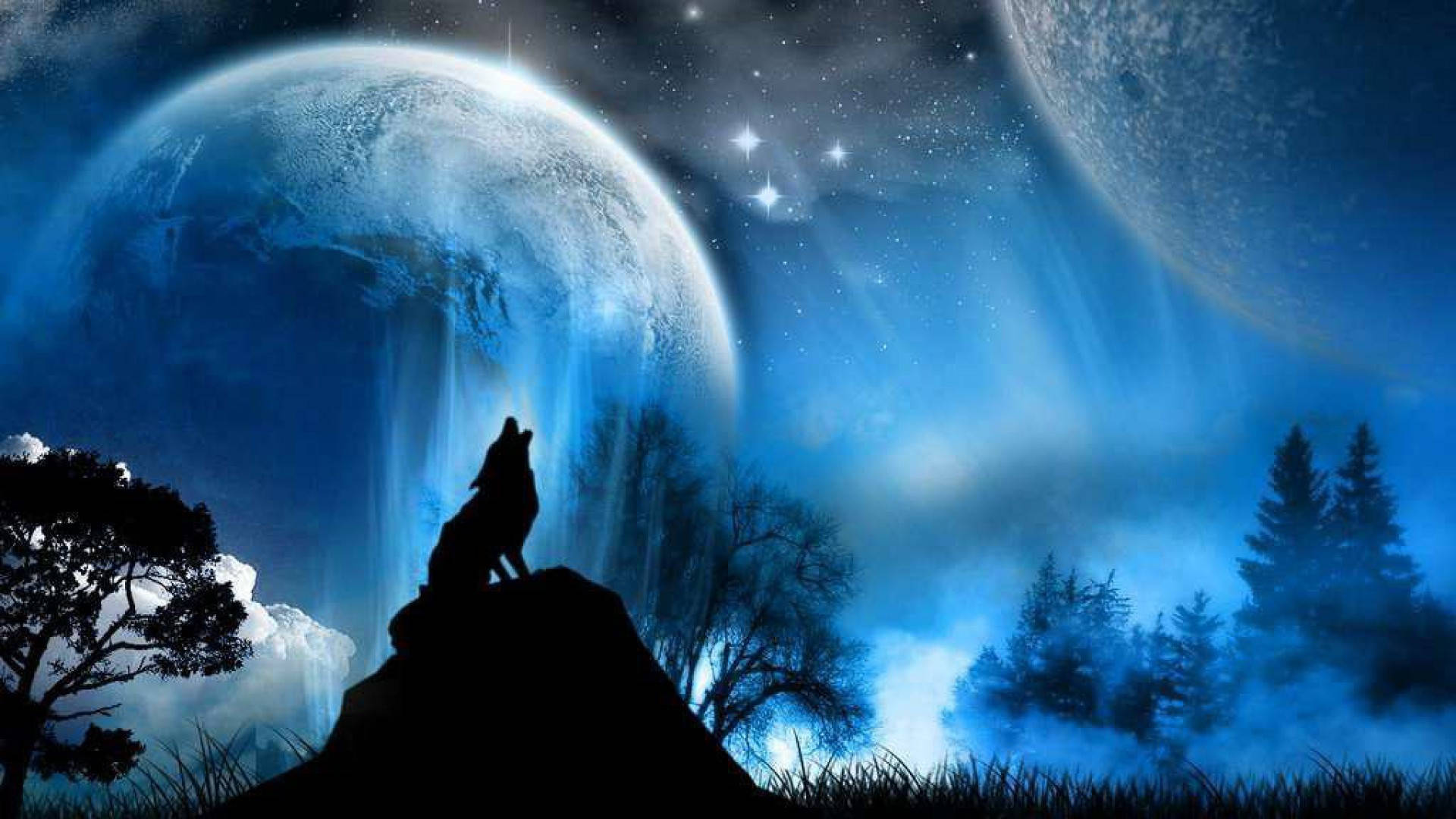 Koel Wolf Gehuil Silhouet Muurpapier