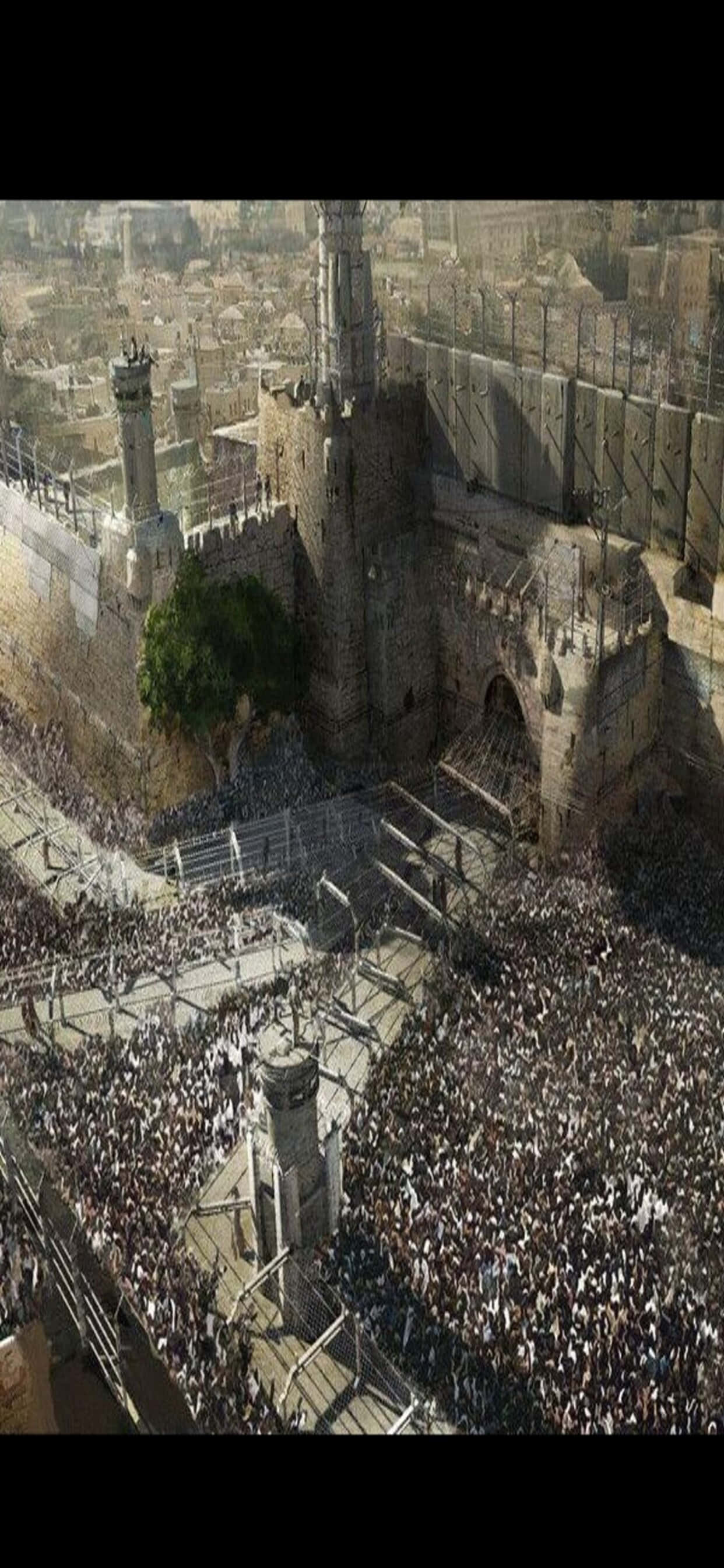 Konsepkuns iPhone XS Max World War Z Agtergrond Muurpapier