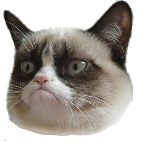 Kop van Grumpy Cat deursigtige agtergrond.PNG Muurpapier
