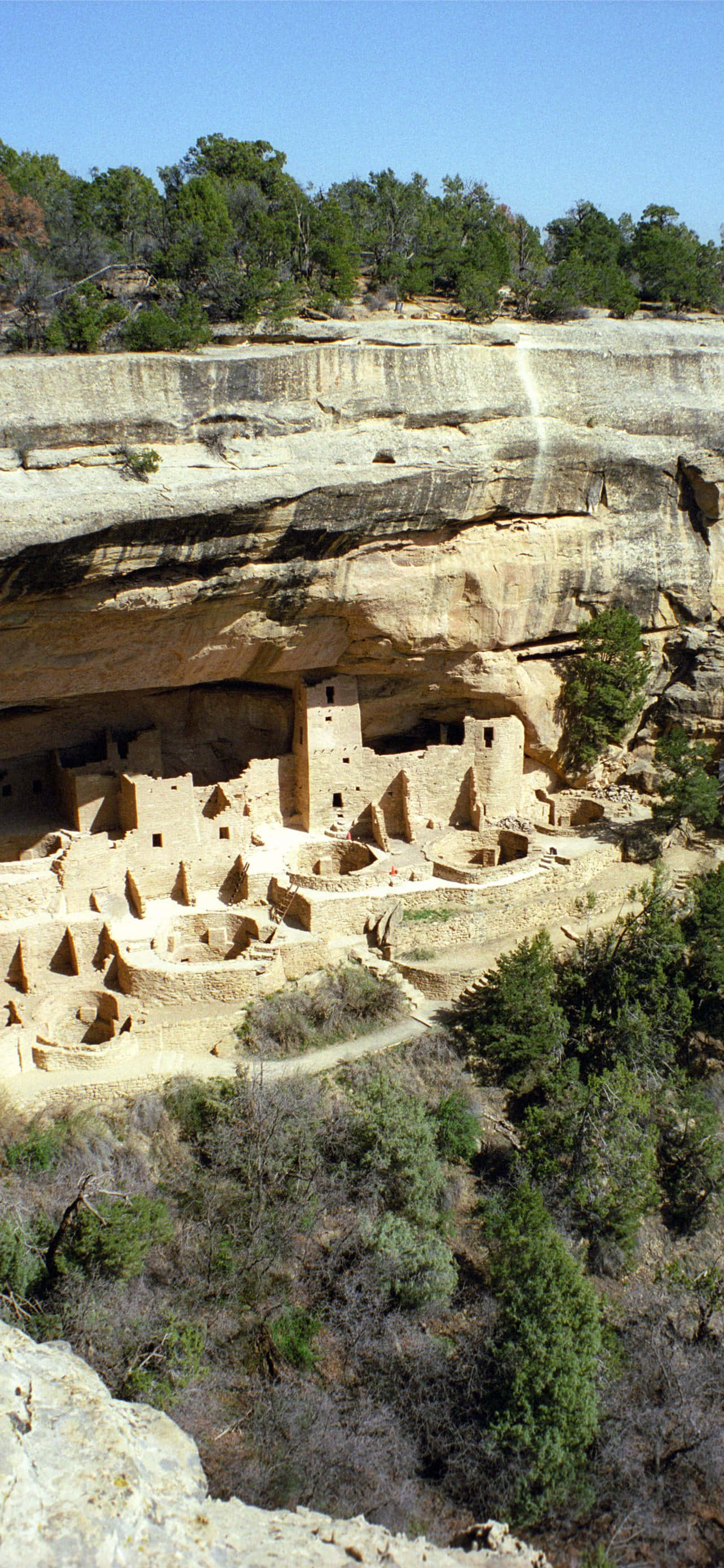 Kranspaleis Tan Kleur Mesa Verde Nasionale Park Muurpapier