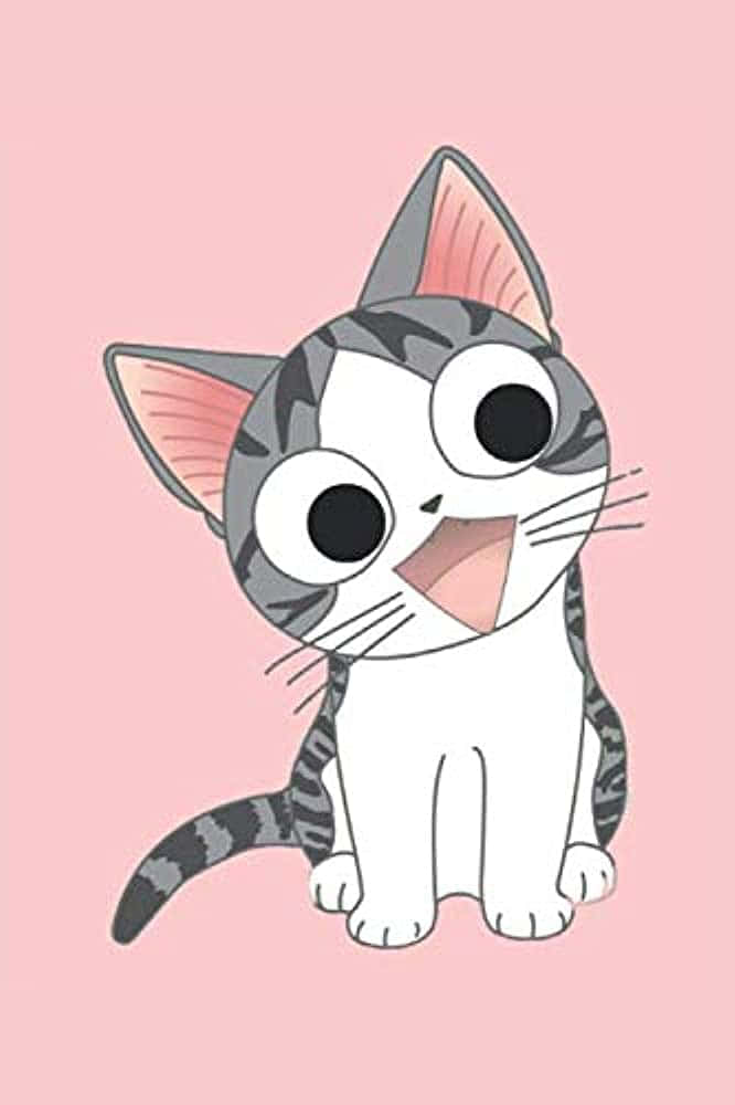 Kry jou perfekte katjie-dag regstelling Muurpapier
