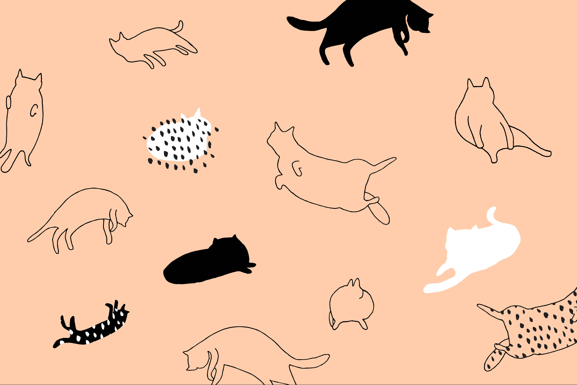 Kunstenaars minimalisme met tekenprente van katte Muurpapier