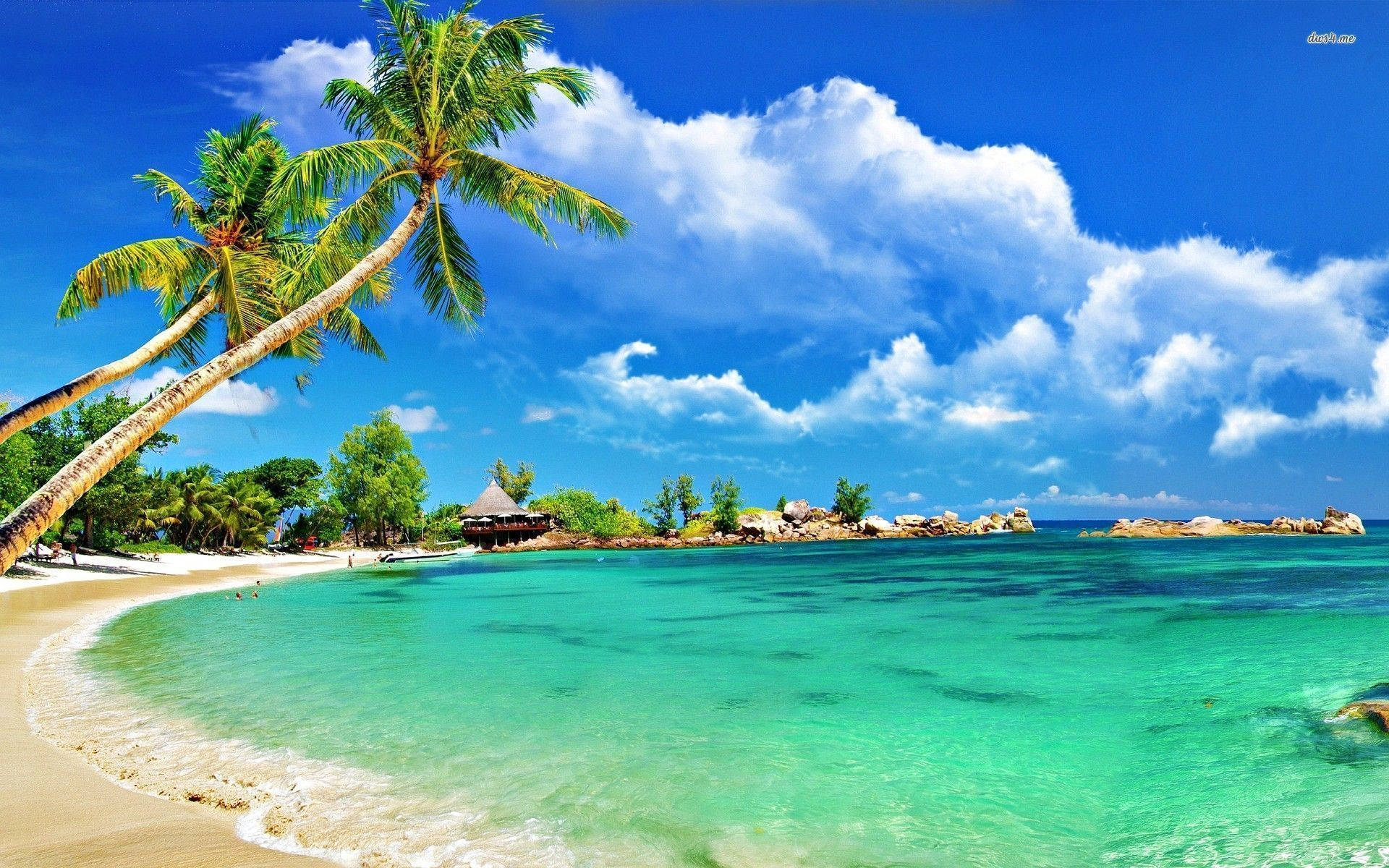 Kuslyn van Tropiese Montego Baai