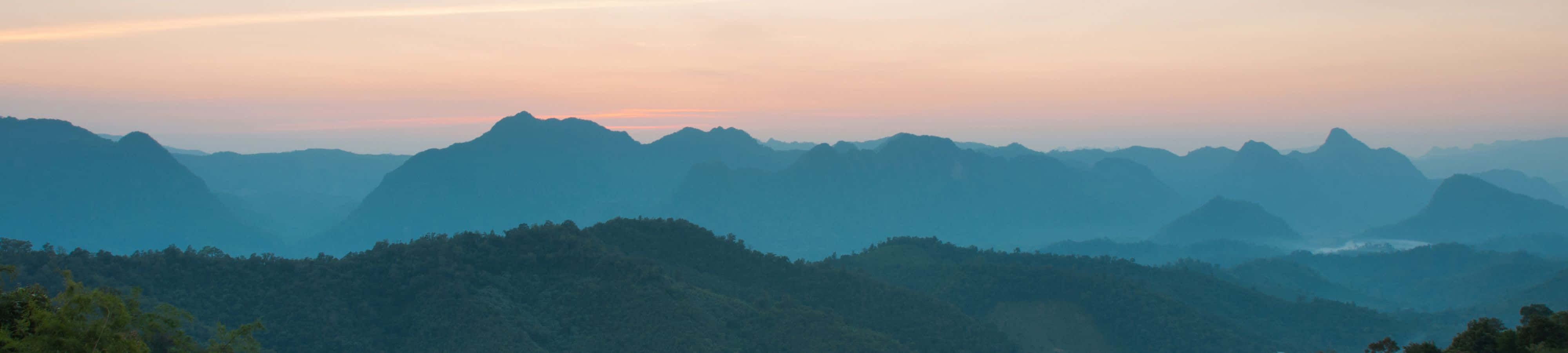 "Laat die Natuur na jou uitreik" Muurpapier