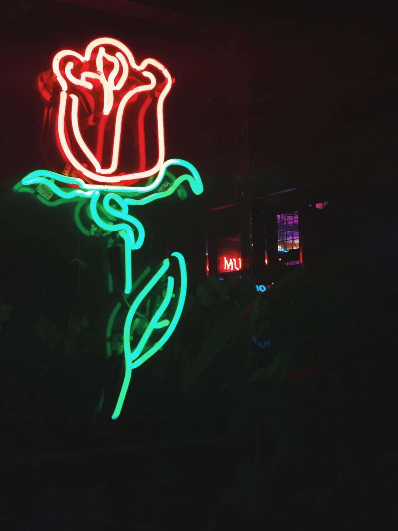 Laat die neonligte jou lei en die pad wys Muurpapier