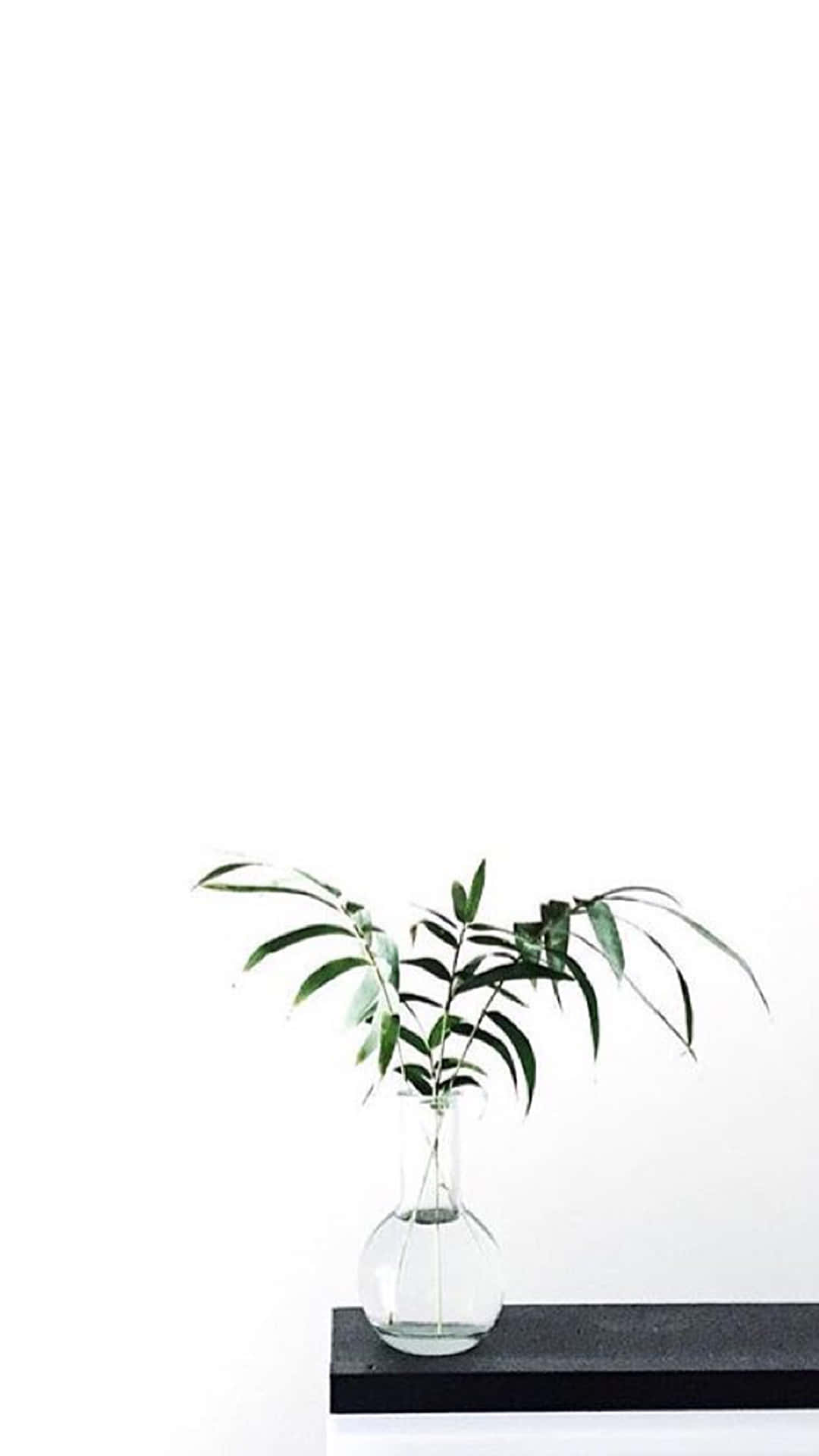 Laat die wêreld weet dat Aesthetic White jou skerp kan laat lyk. Muurpapier