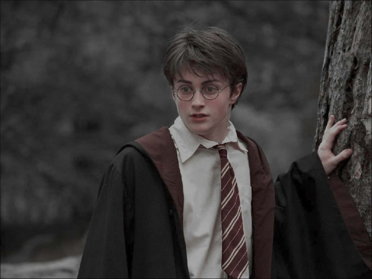 Laat jou verbeelding dwaal deur die magiese wêreld van Harry Potter. Muurpapier