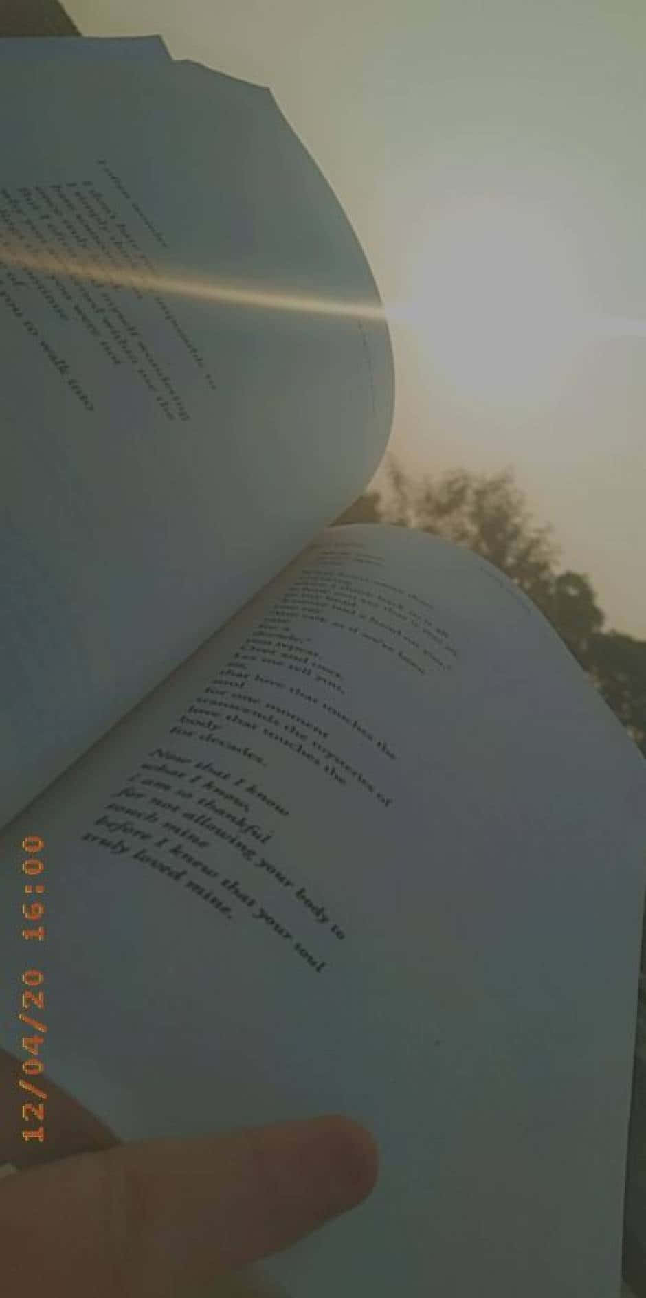 "Laat jou verbeelding wild raak met 'n boek in die hand." Muurpapier