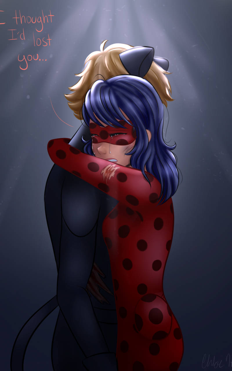 Ladybug en Cat Noir Soen Huil Omhelsing Muurpapier