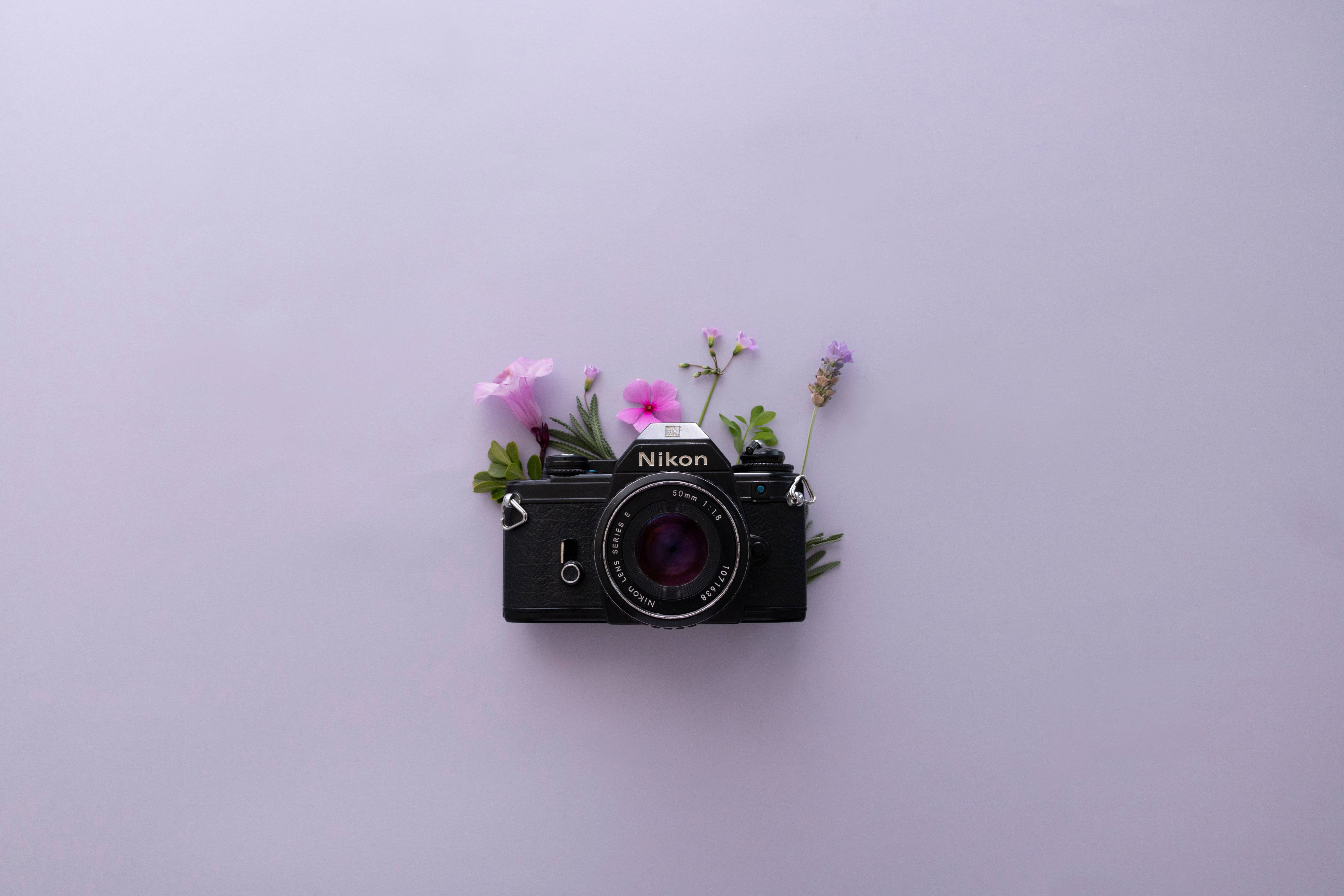 Lavender-estetiek en Nikon-kamera Muurpapier