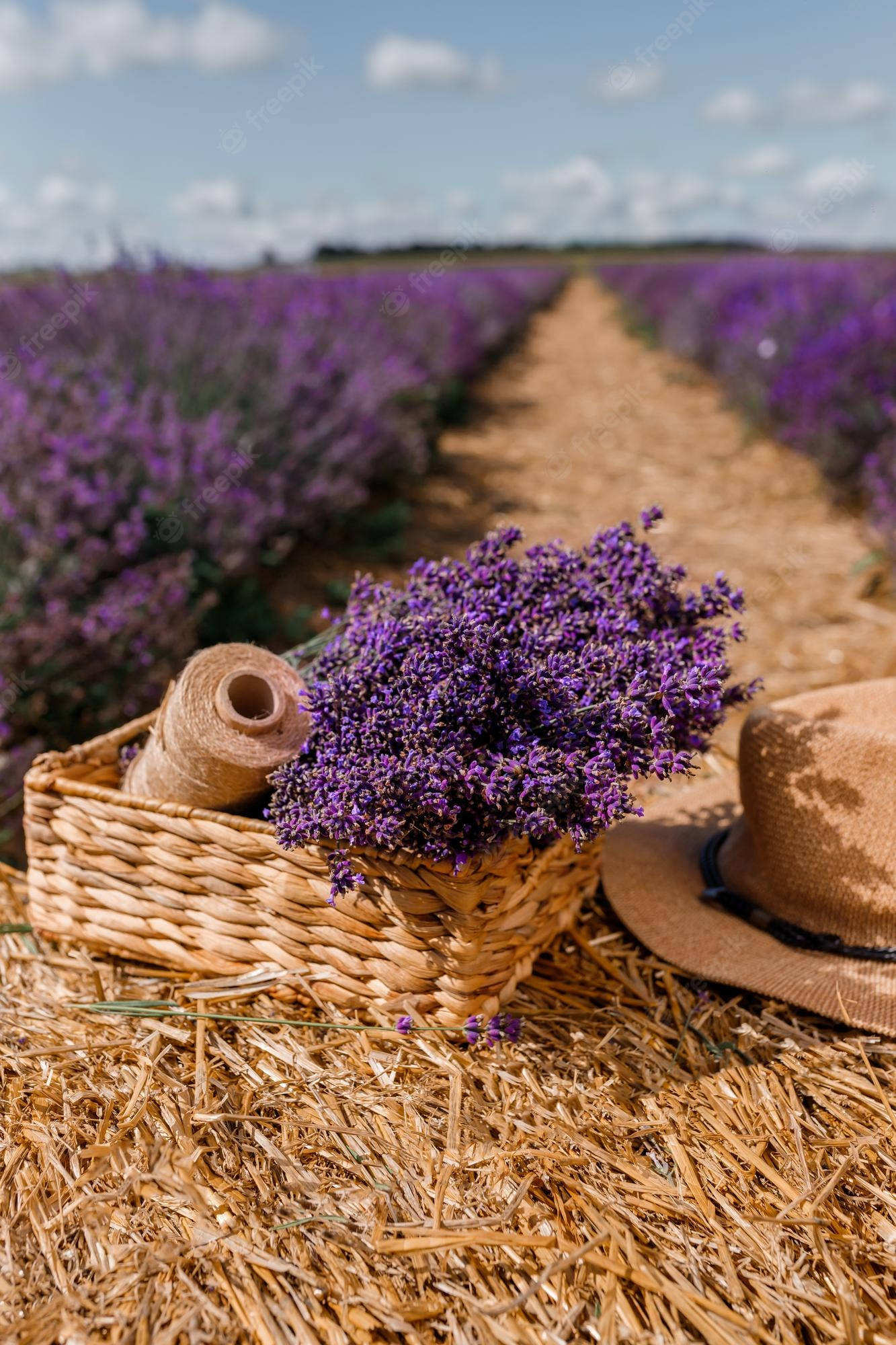 Laventel Estetiese Blomknoppies en Tou Muurpapier