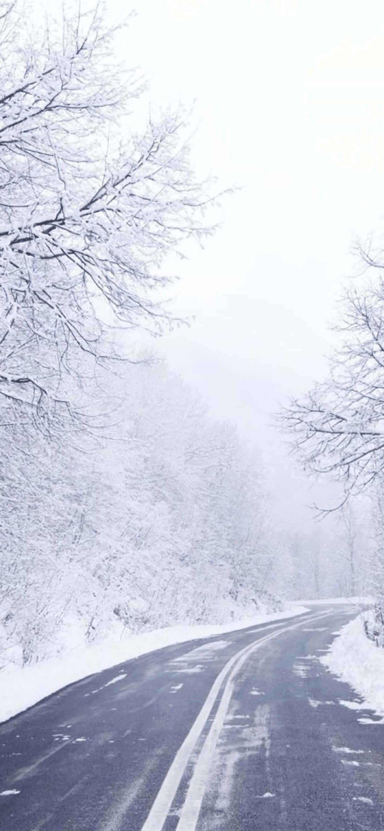 Leë Pad Met Bome iPhone XS Max Winter Agtergrond Muurpapier