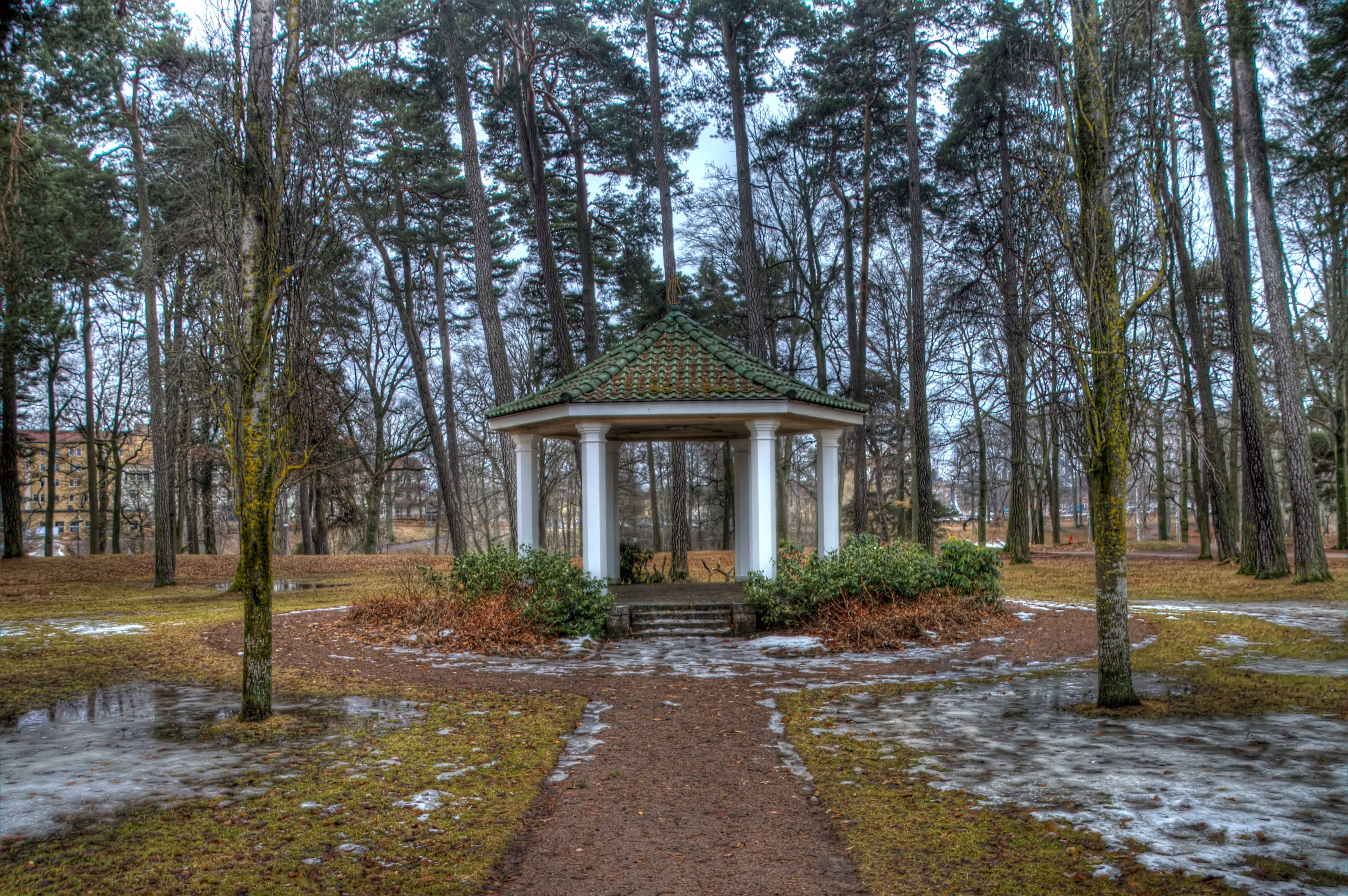 Lente Seisoen Park Muurpapier