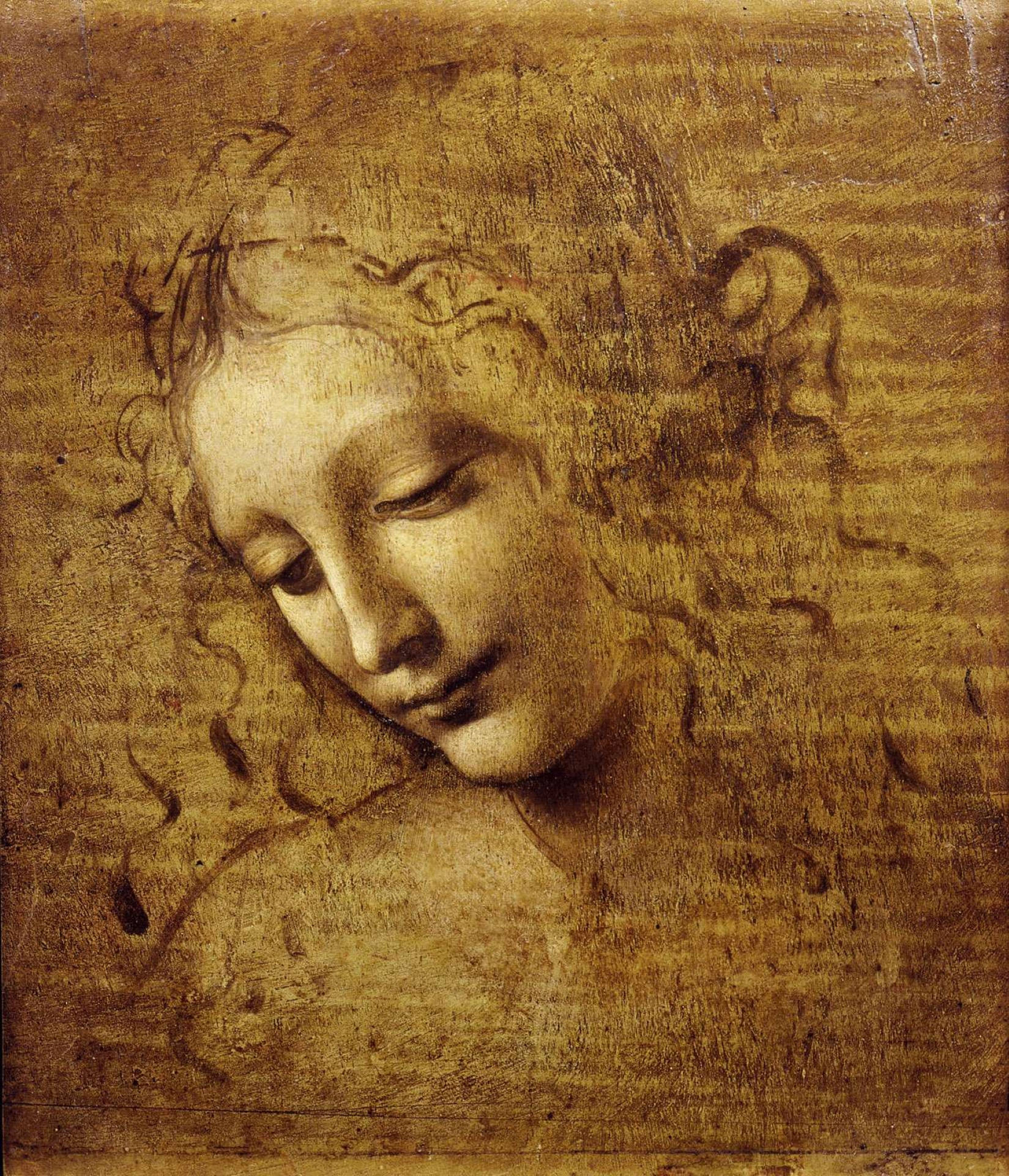 Leonardo Da Vinci Vroulike Hoof Skildery Muurpapier
