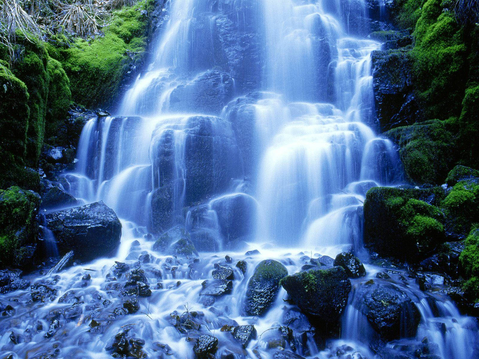 Lewendige 3D Mos Waterval Muurpapier