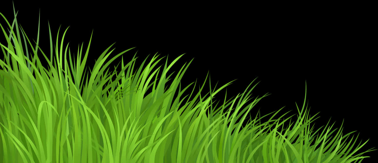 Lewendige Groen Gras Agtergrond Muurpapier