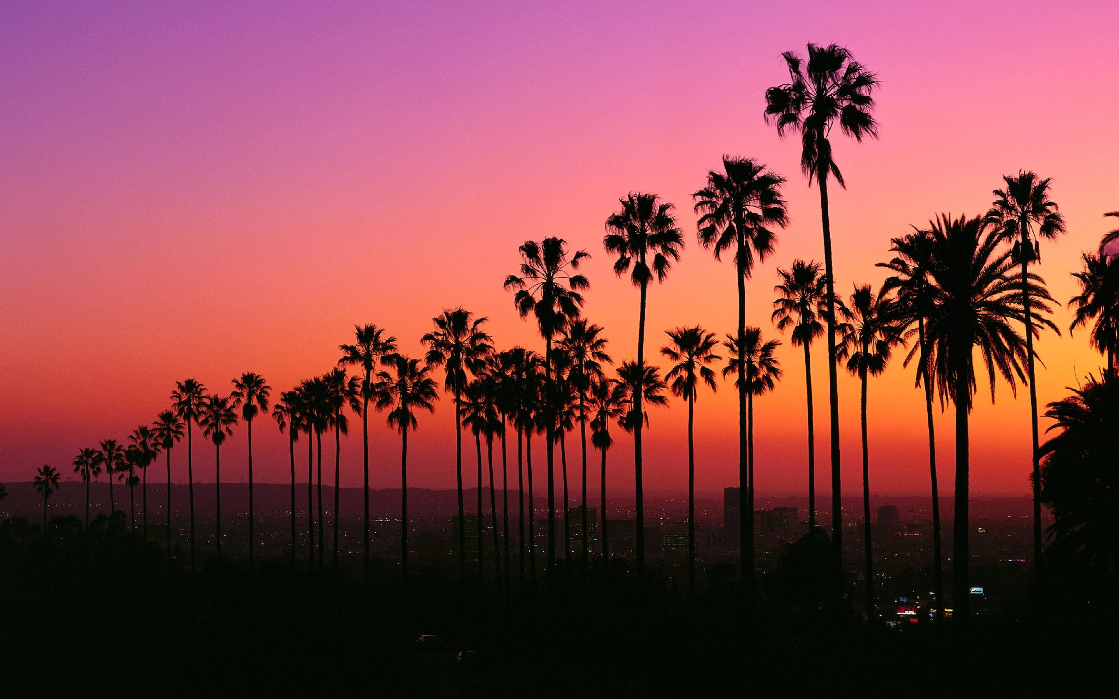 Lewendige Los Angeles-sonsondergang Muurpapier