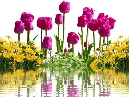 Lewendige Tulpe en Geel Blomme Weerspieëling Muurpapier