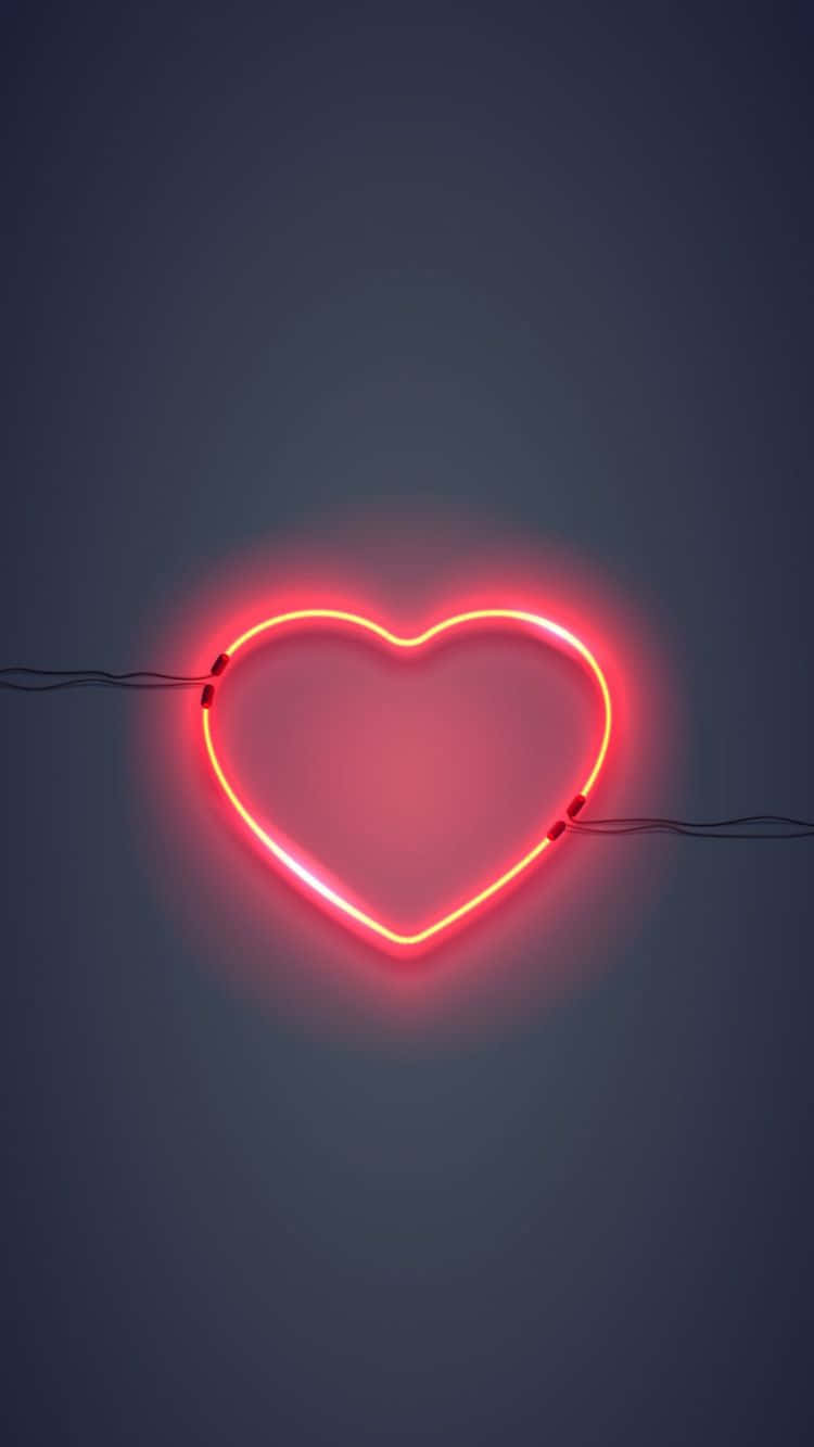 Lief dit of los dit - laat jou hart besluit. Muurpapier