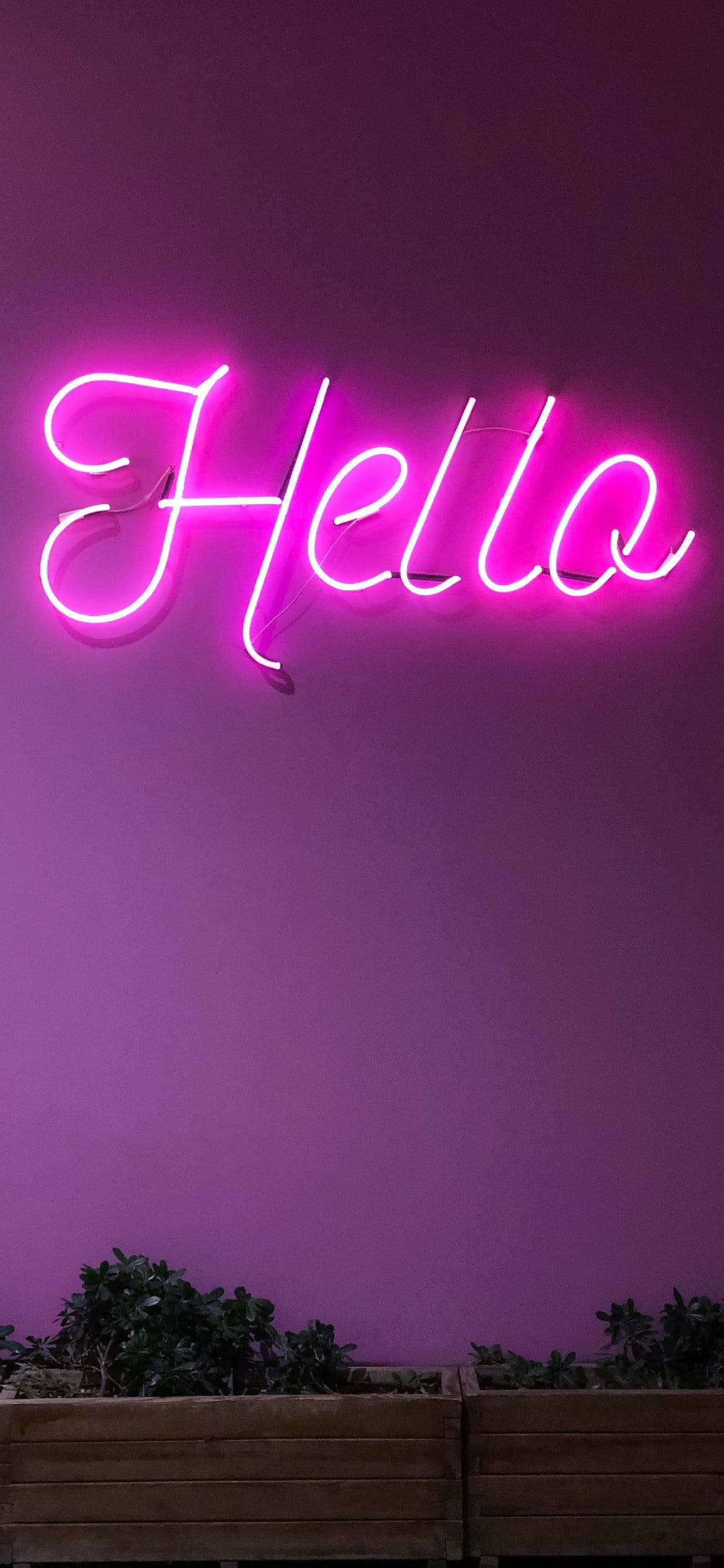Ligpers Estetiese Hallo In Neon Muurpapier