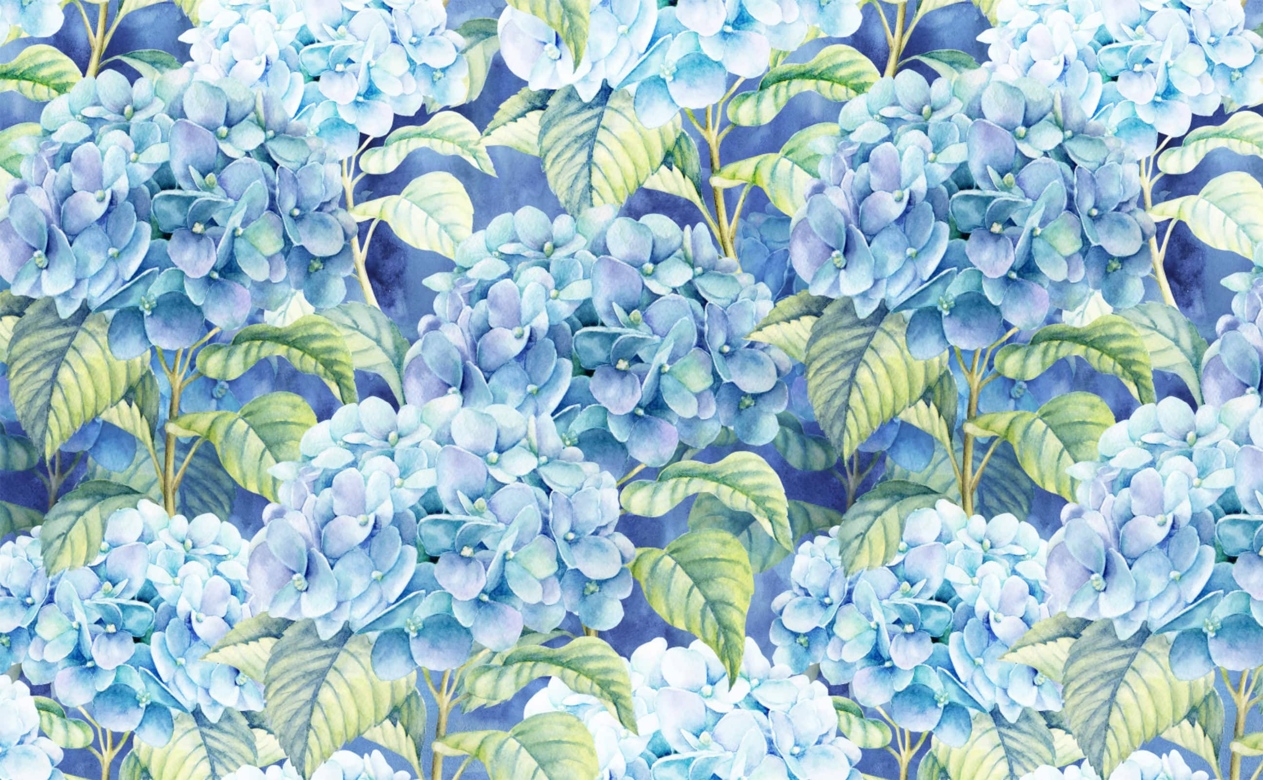 Ligte Blou Hortensia Illustrasie Muurpapier