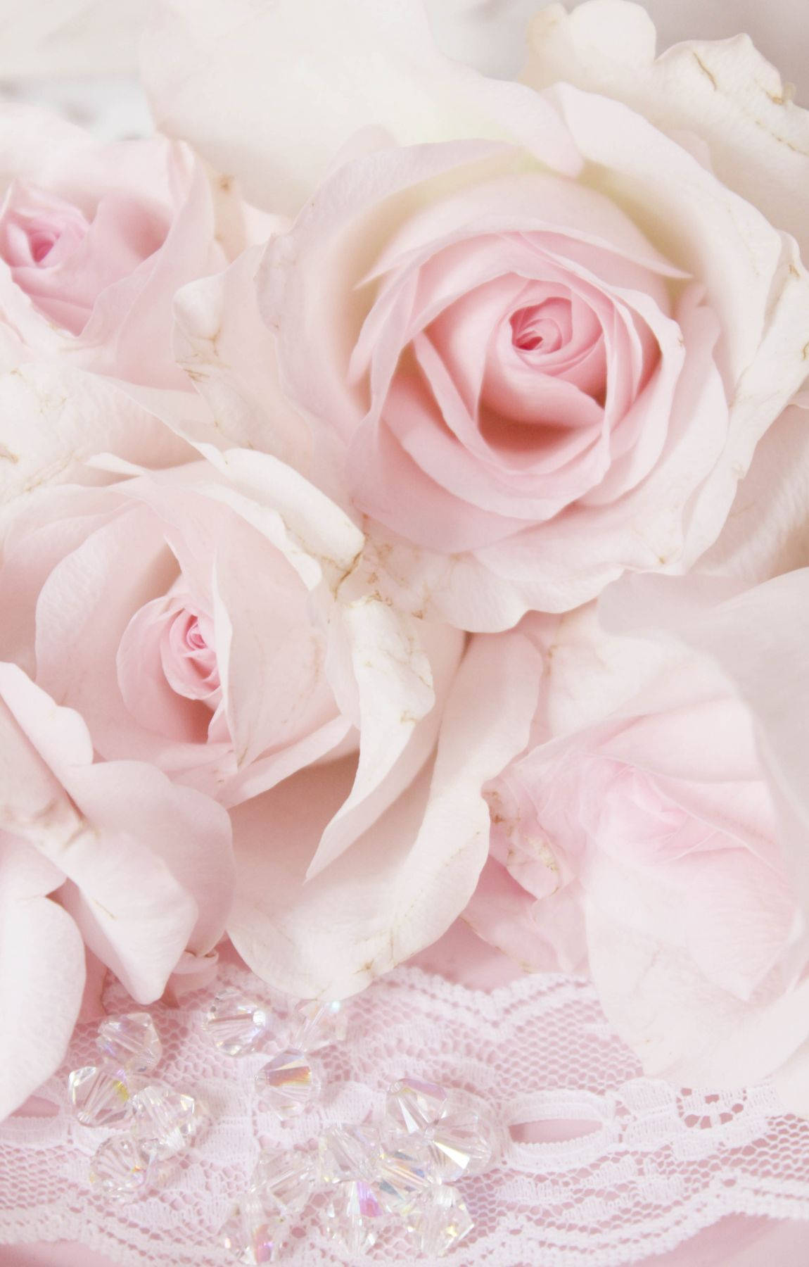 Ligte pienk rose — Blom GIF Muurpapier