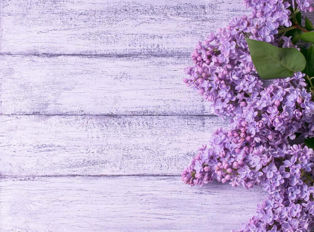 Lila Blomme Agtergrond op Hout Muurpapier