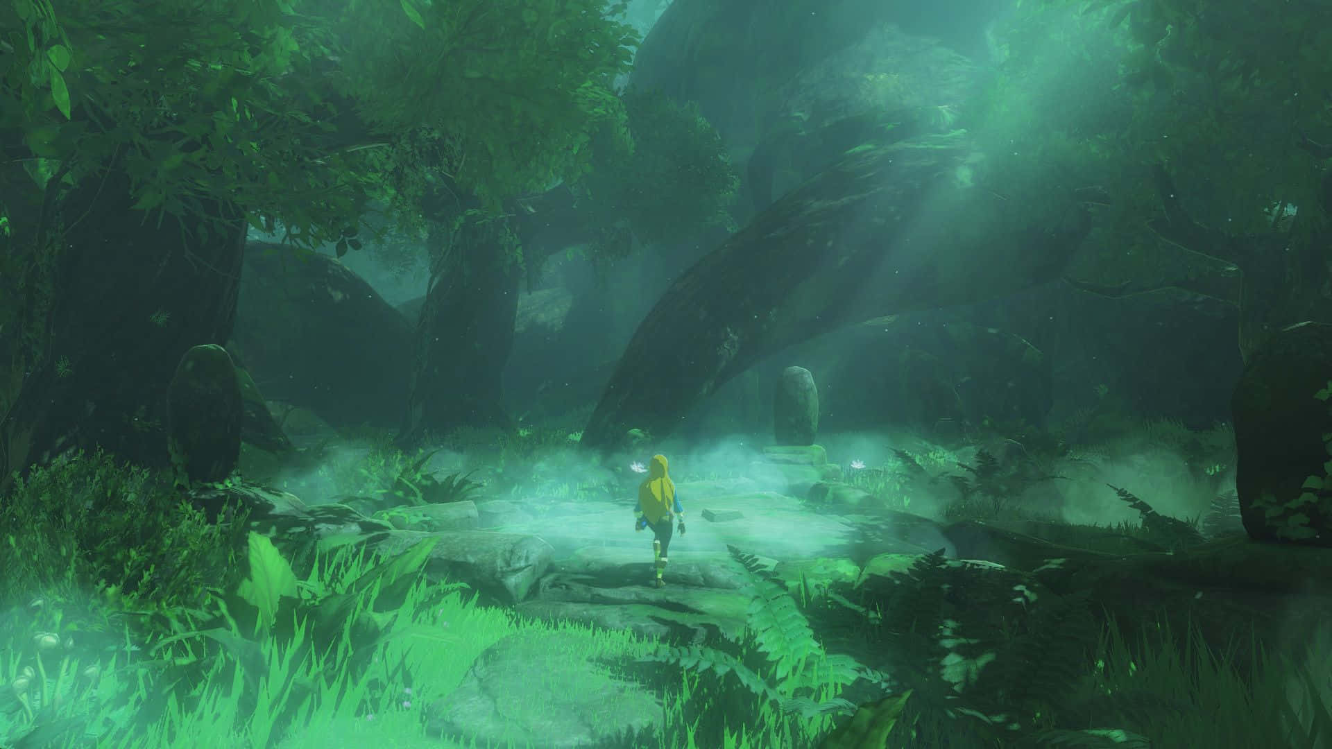 Link op 'n reis deur die wêreld van The Legend of Zelda Muurpapier