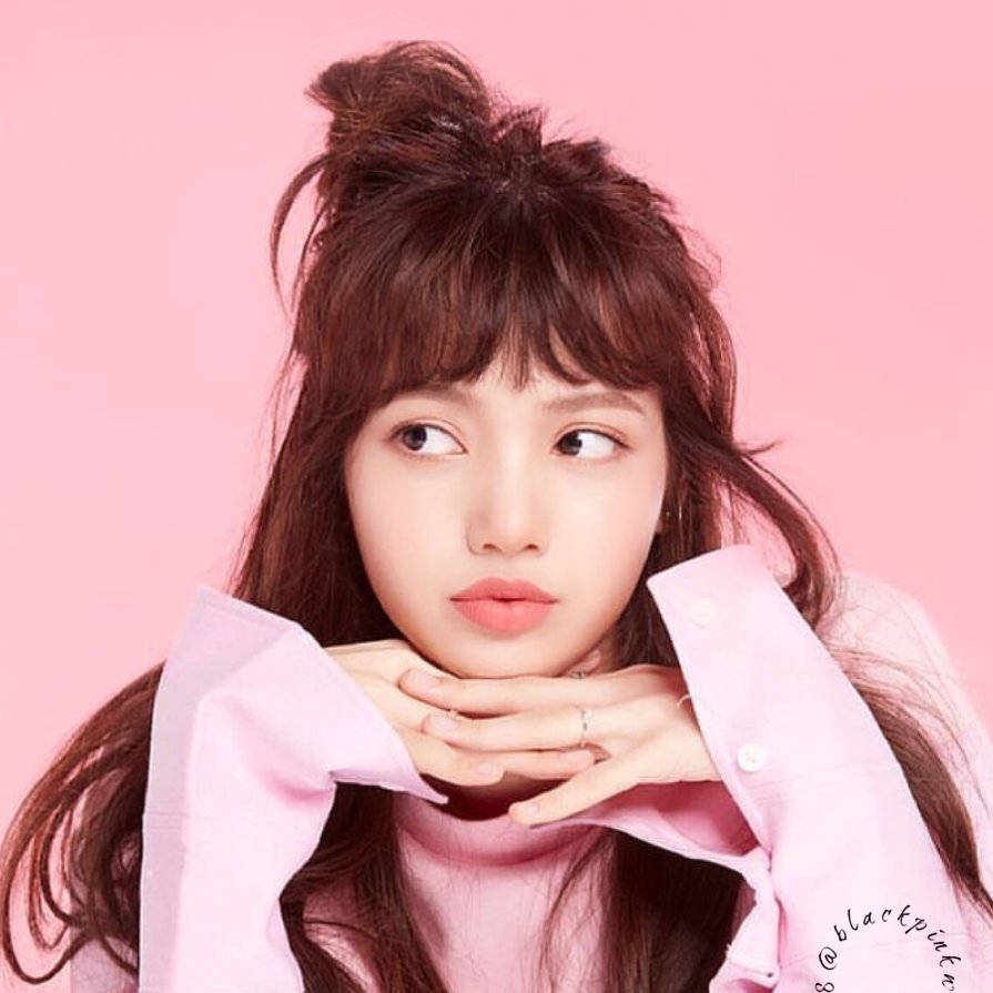 Blackpink-agtergrond van Lisa in pienk bostuk op pastelpienk muur