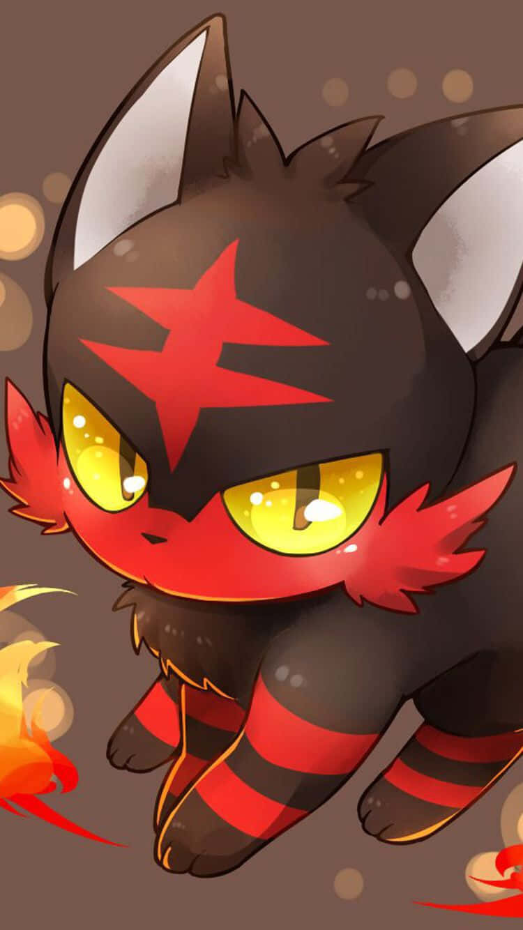 Litten Teen Bruin Agtergrond Muurpapier
