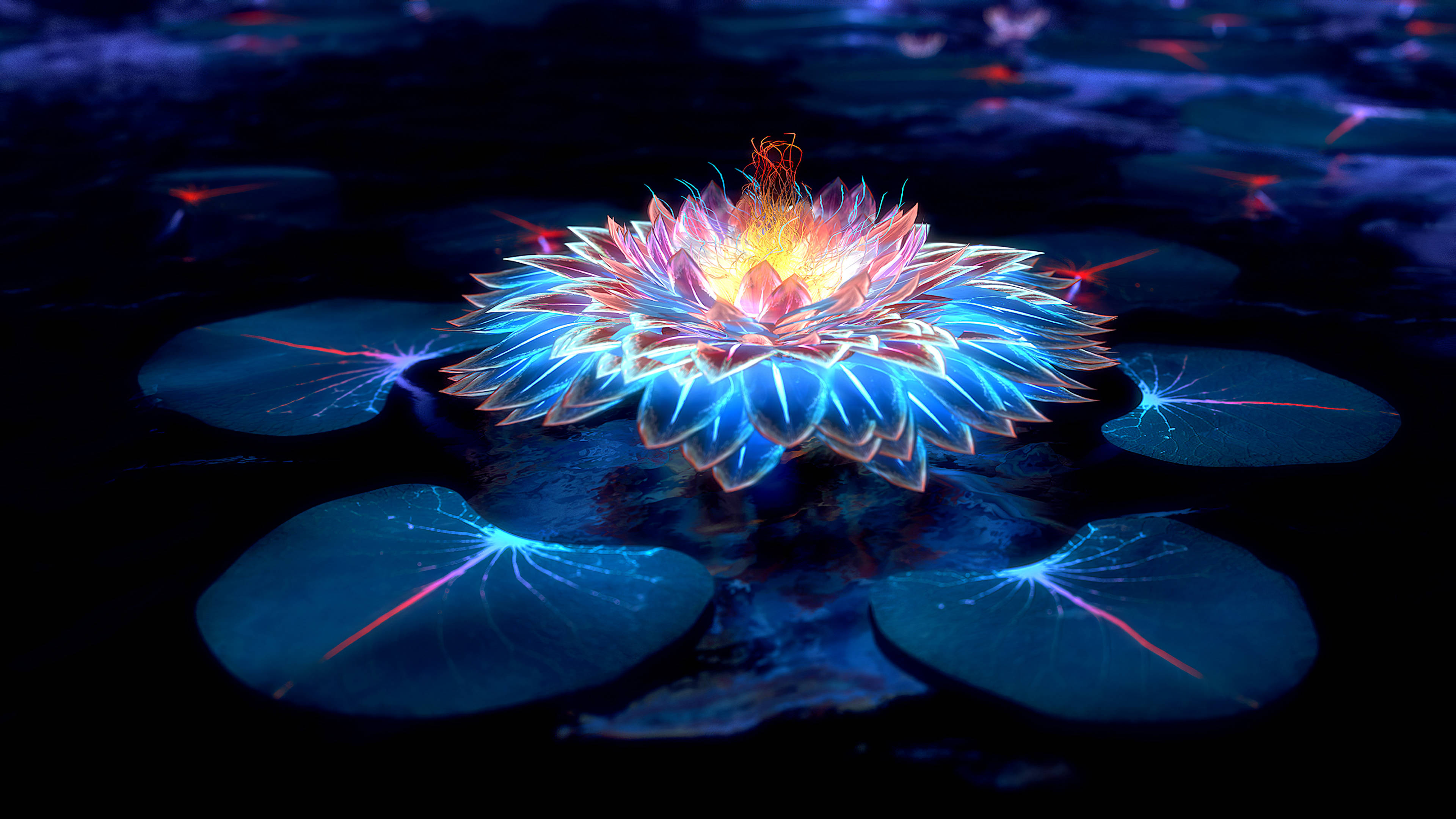 Lotus en Ligte in die Donker Muurpapier