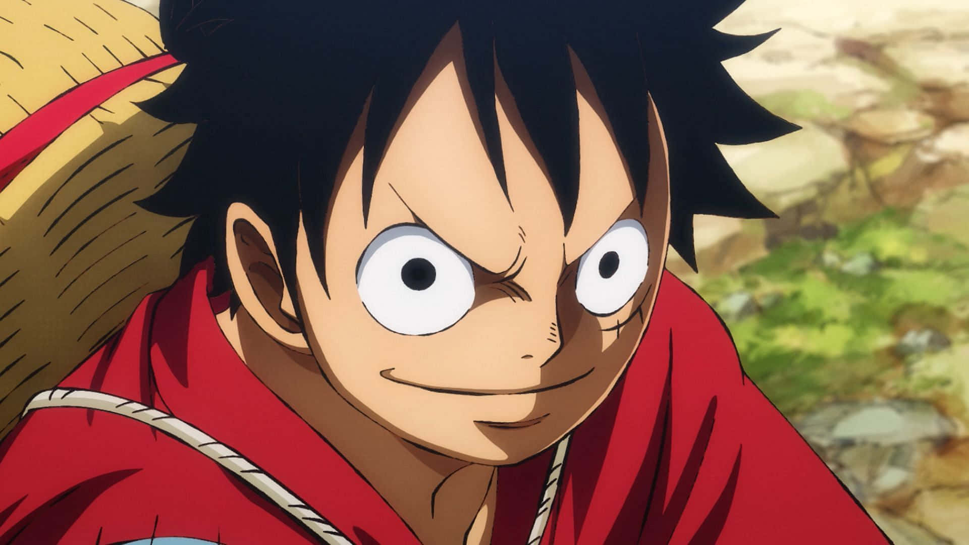 Luffy, die Piraatkoning! Muurpapier