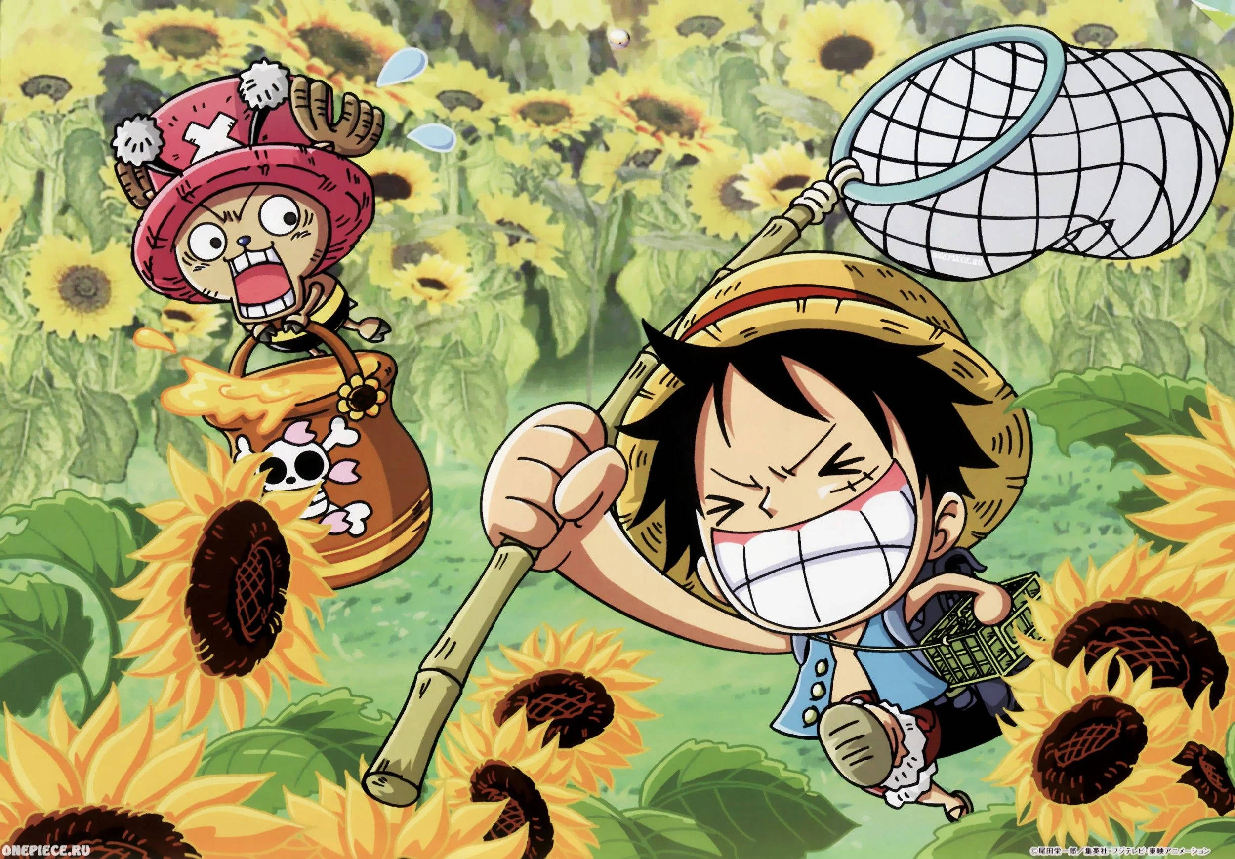 Luffy en Chopper Skoppie Anime Muurpapier