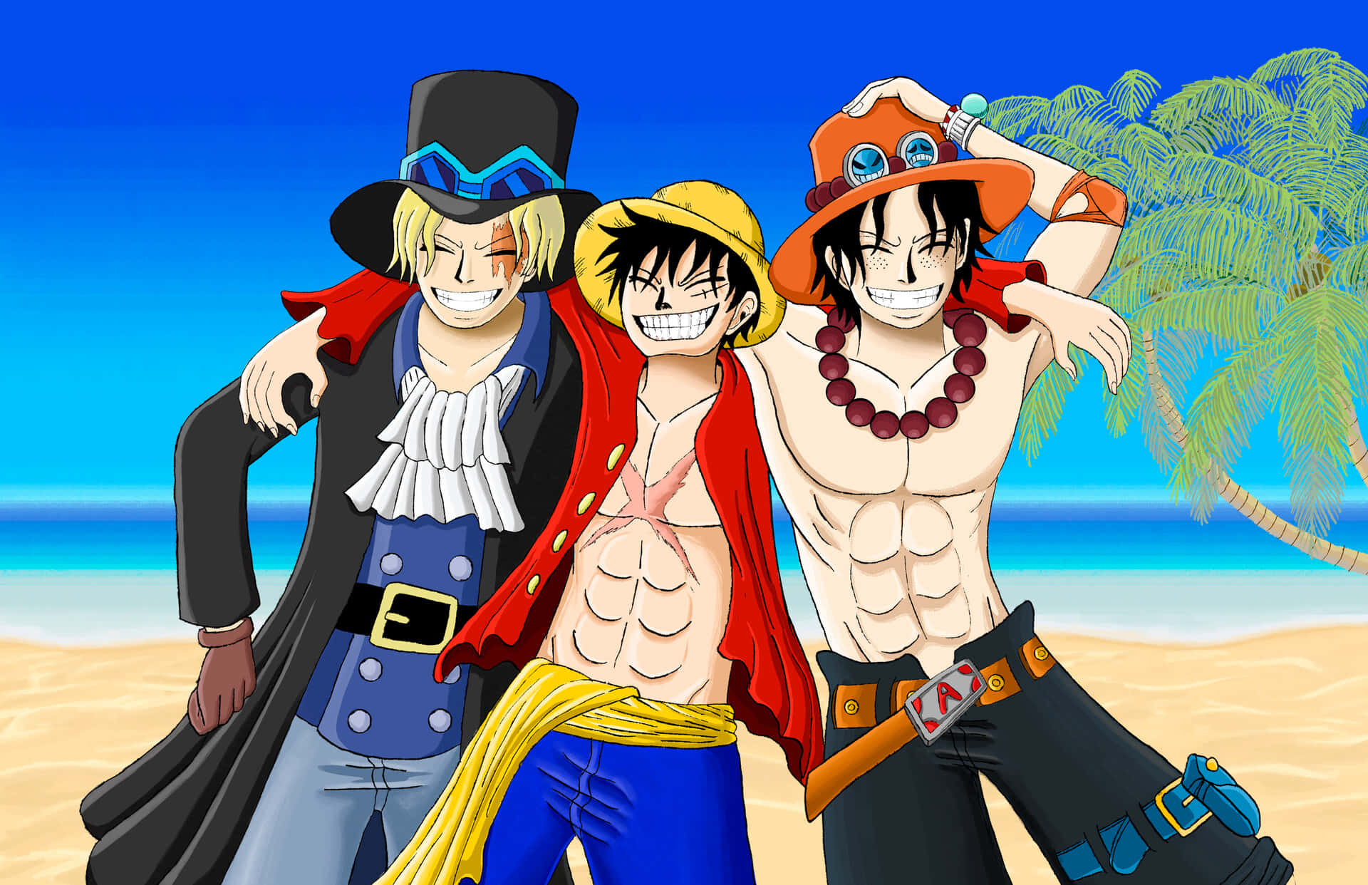 Luffy in aksie teen Doflamingo Muurpapier