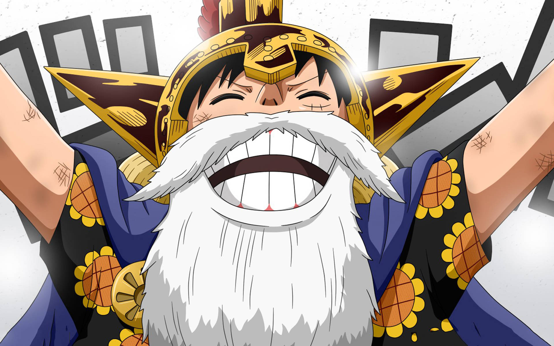 Luffy met Witbaard