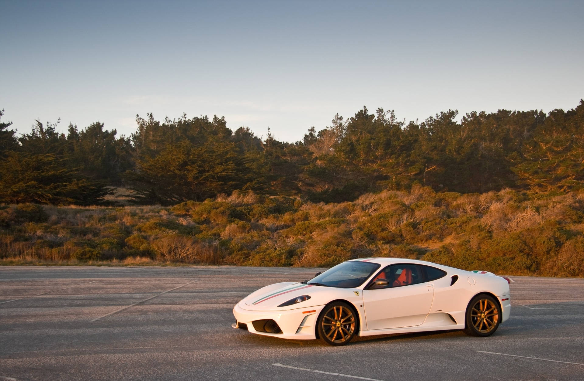 Wit Ferrari F430 Scuderia geparkeer op pad agtergrond.