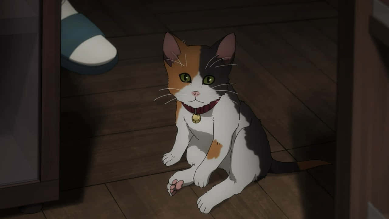 Maak gereed om te glimlag met hierdie oulike Anime Kat Muurpapier