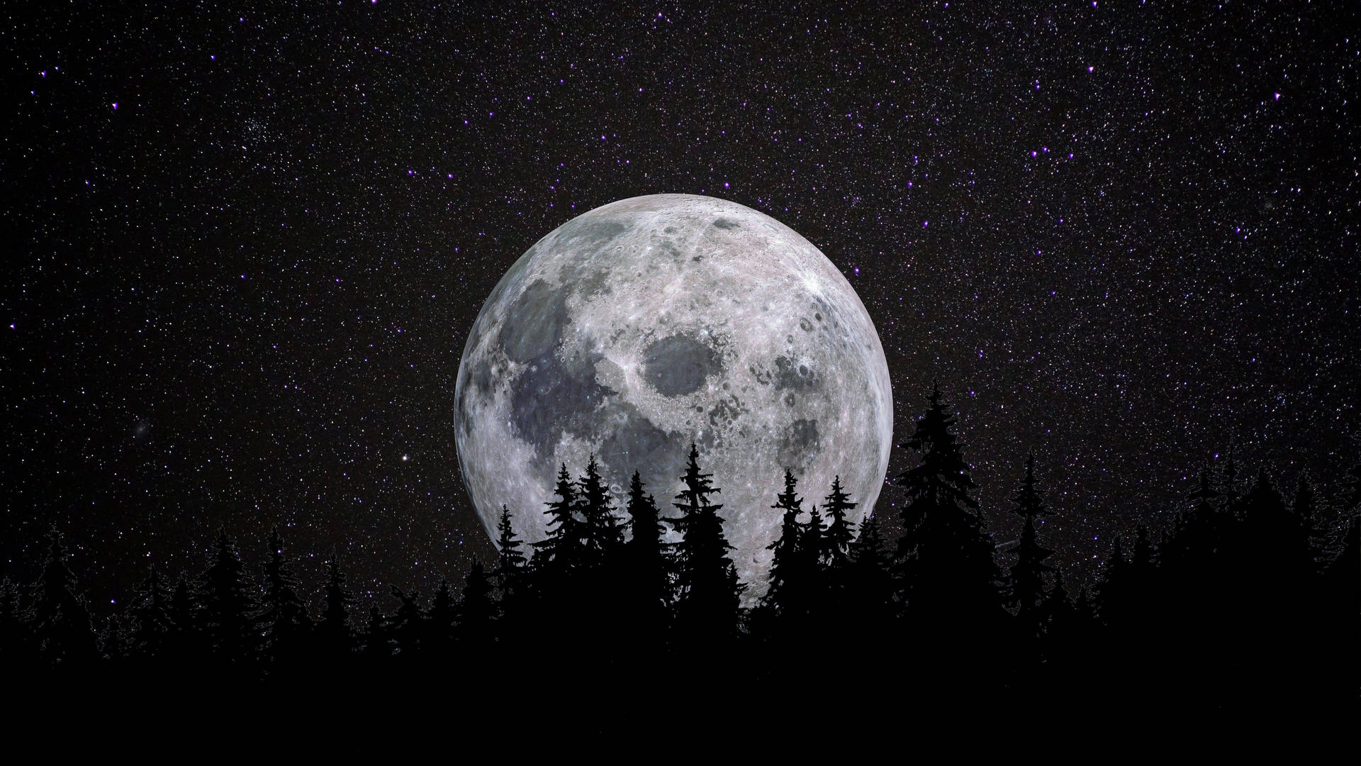 Maan 4K Volmaan oor Bos