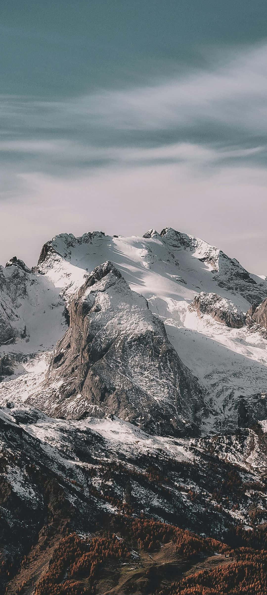 Majestueuse Bergpieke Sneeubedek Muurpapier