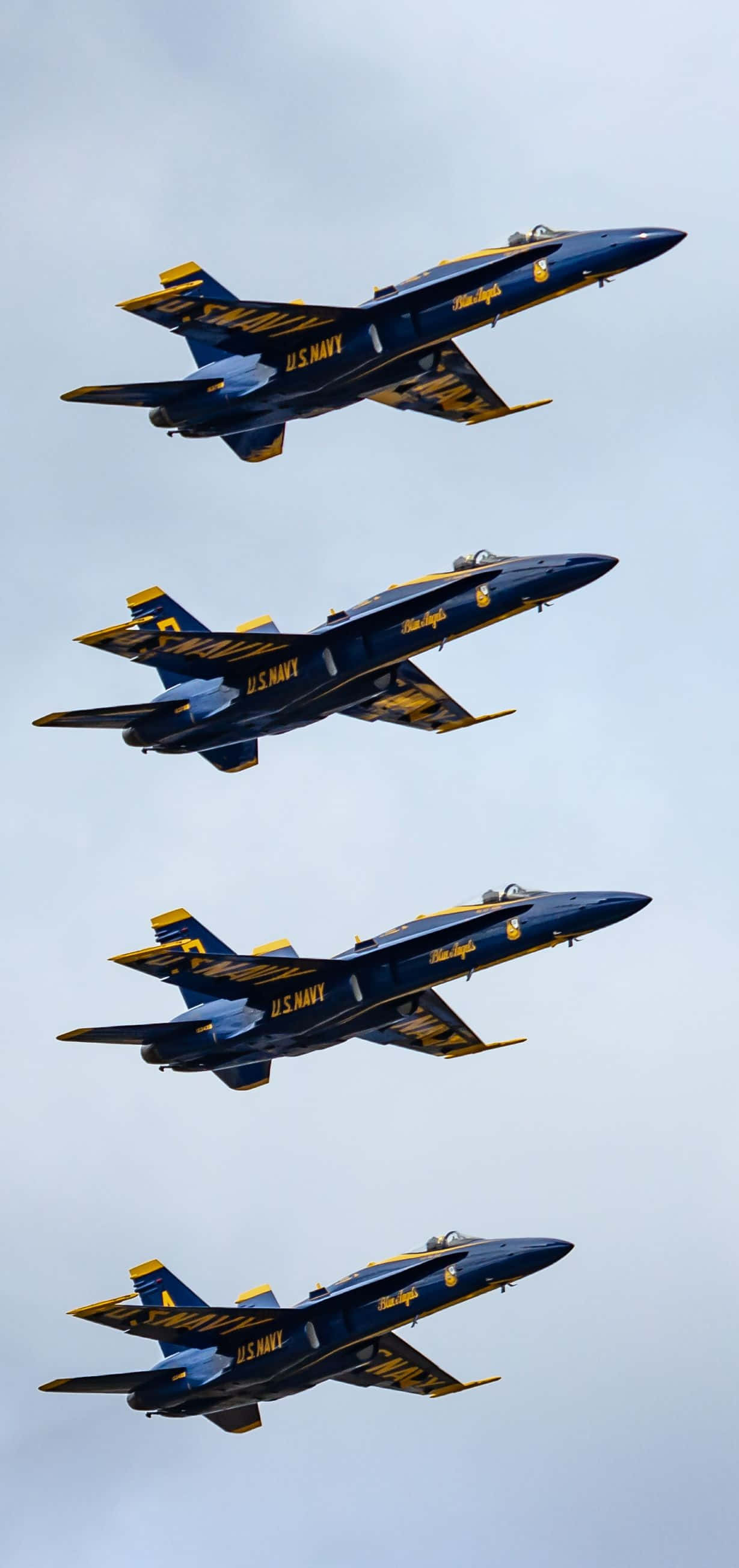 Majestueuse Blue Angels in vlug Muurpapier