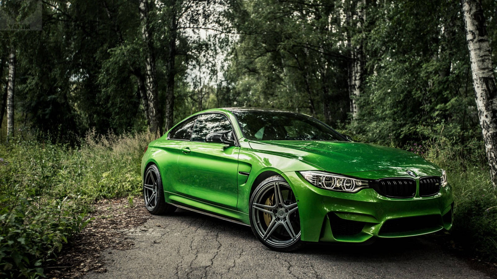 Majestueuse Groen BMW M4 Brul Deur die Bos Muurpapier