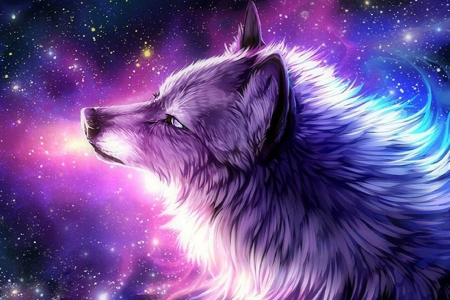 Majestueuse Koel Pers Galaksie Vroulike Wolf Muurpapier