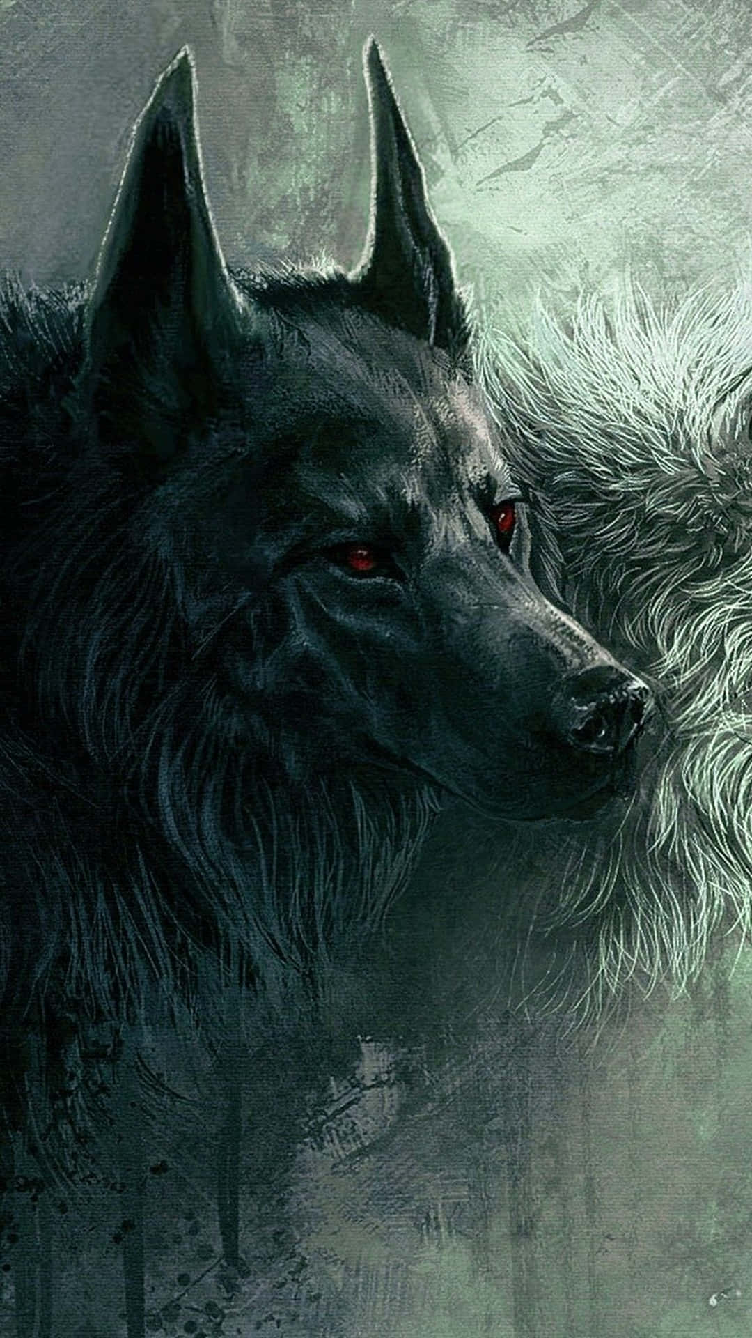 Majestueuse wilde wolf wat in die nag staar Muurpapier