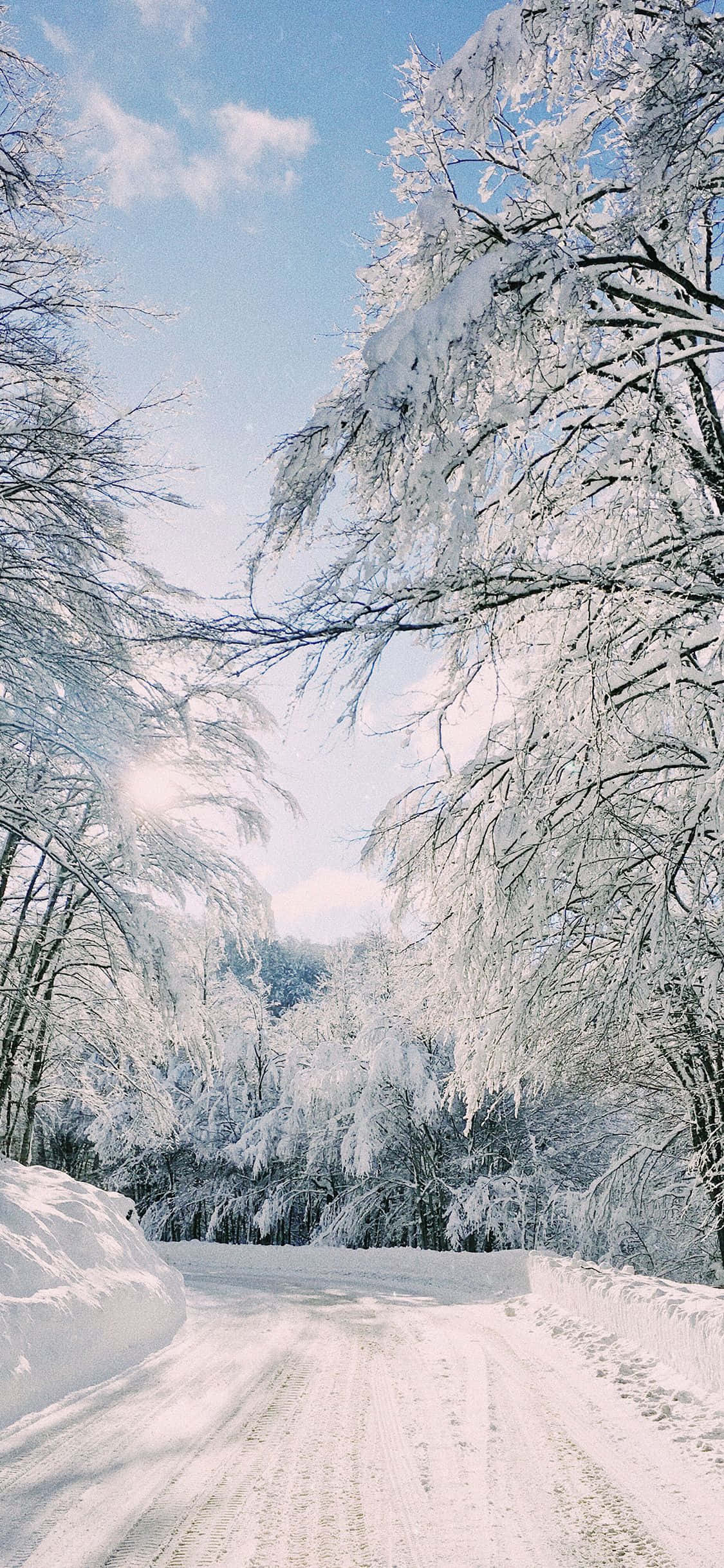 Majestueuse Winter Wonderland Muurpapier