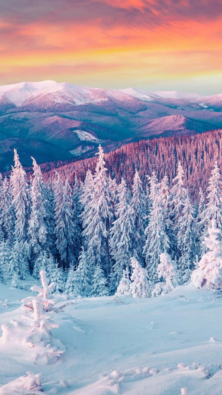 Majestueuse Winterlandskap Muurpapier